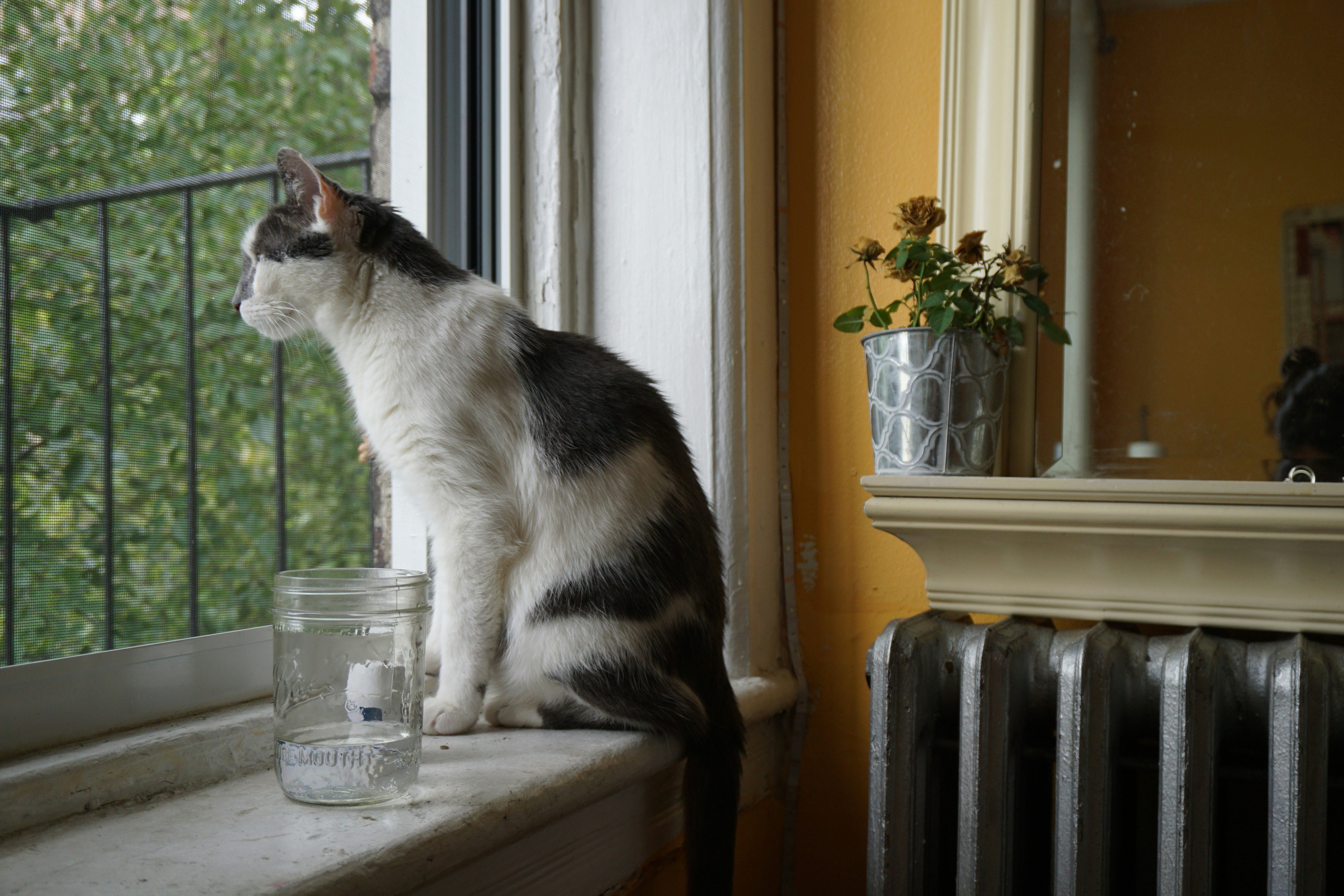 Attending Family Gatherings, Observing from Afar (image credits: unsplash)