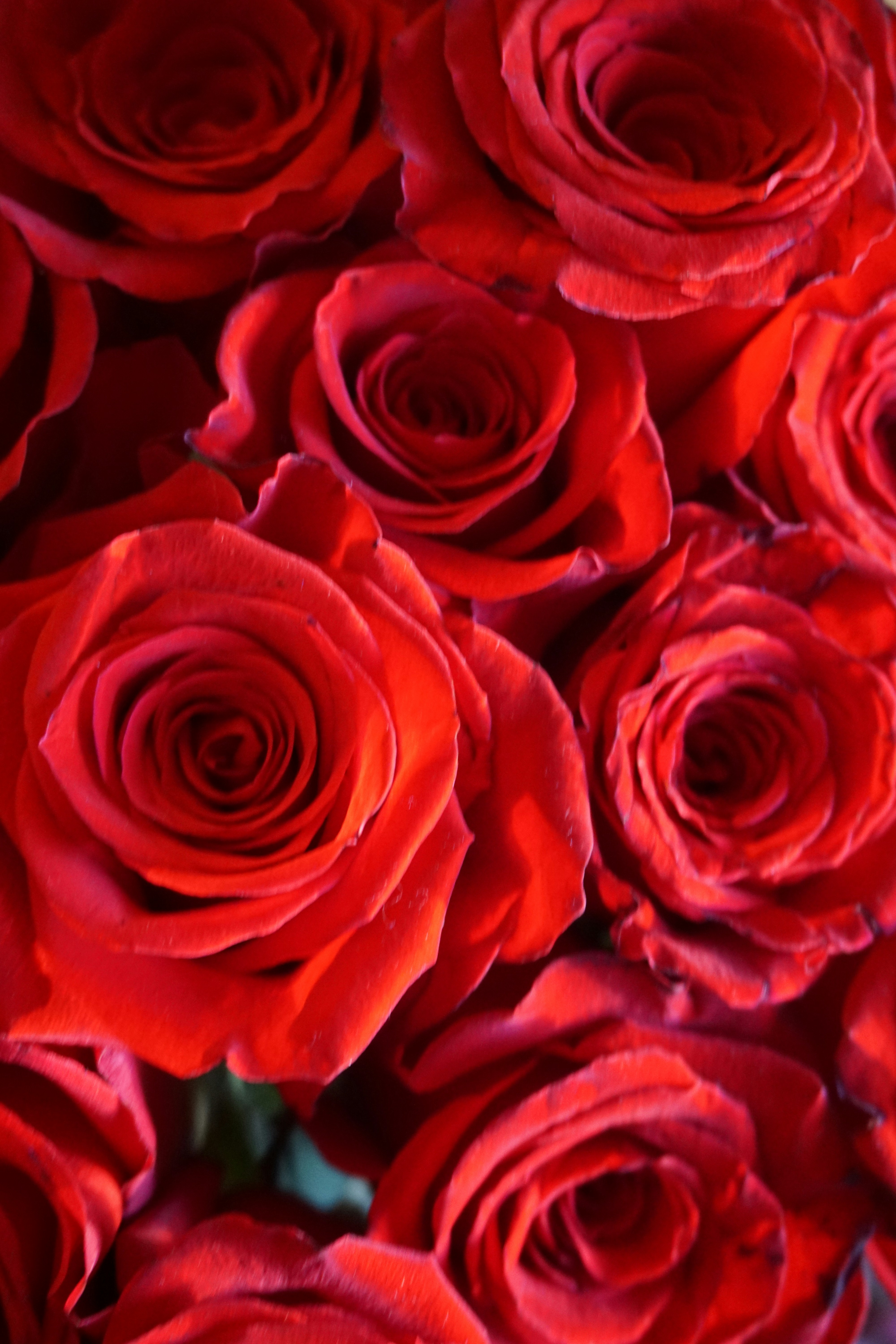 Photo by frolicsomefairy