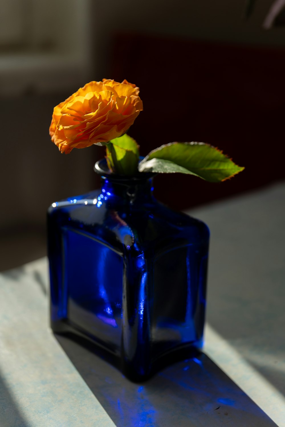 a single orange flower in a blue glass vase