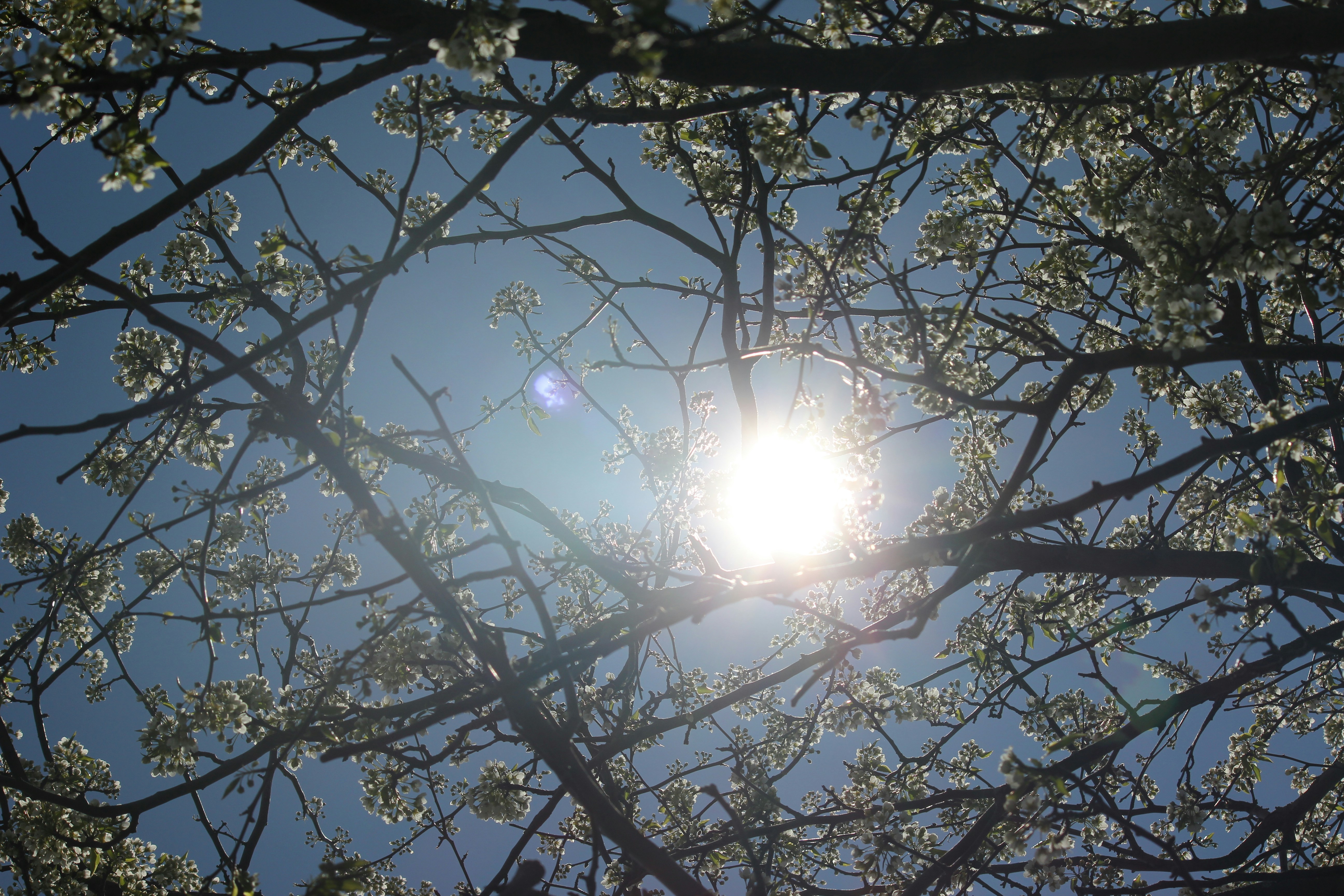 Photo by frolicsomefairy