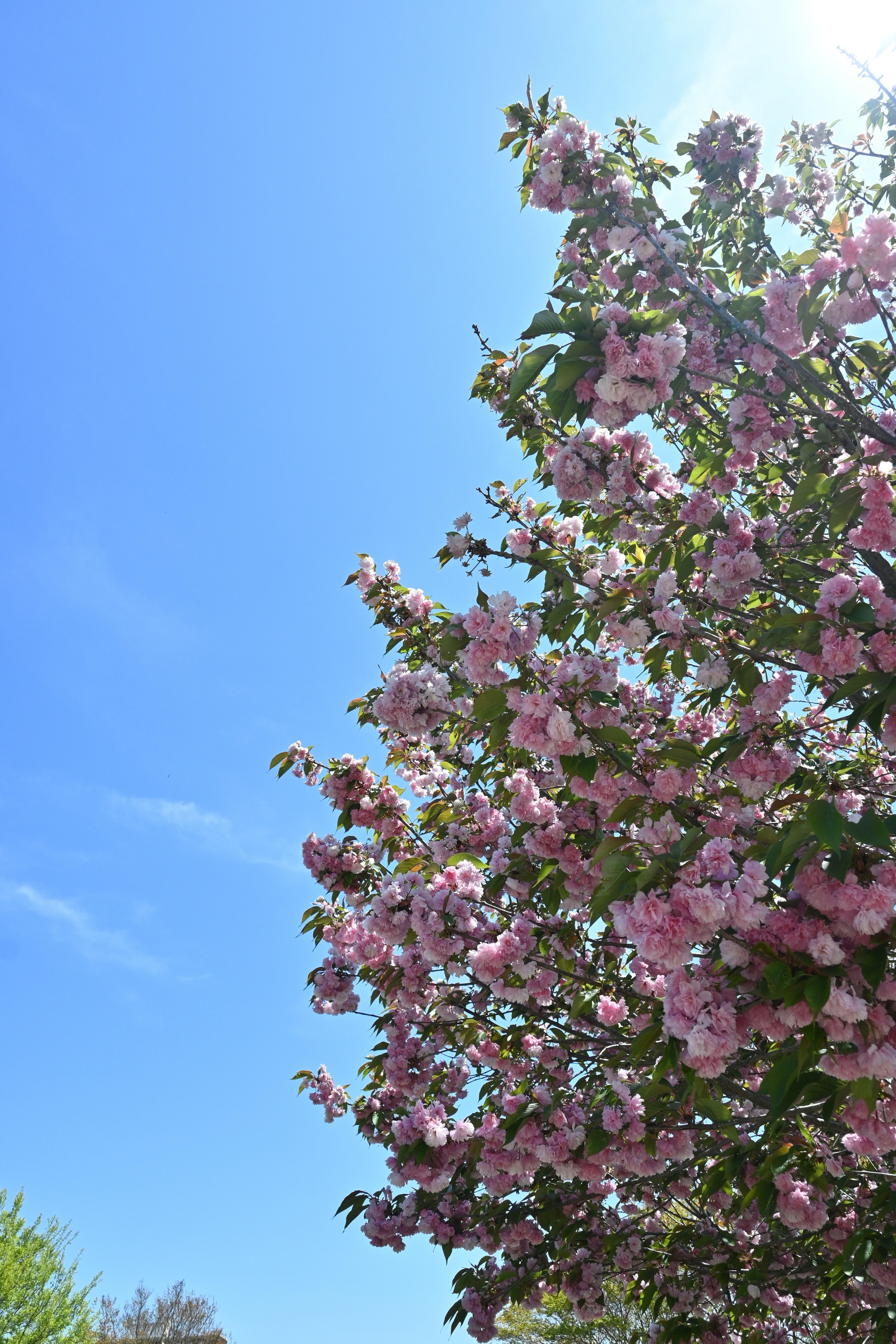 Photo by karolinabobek