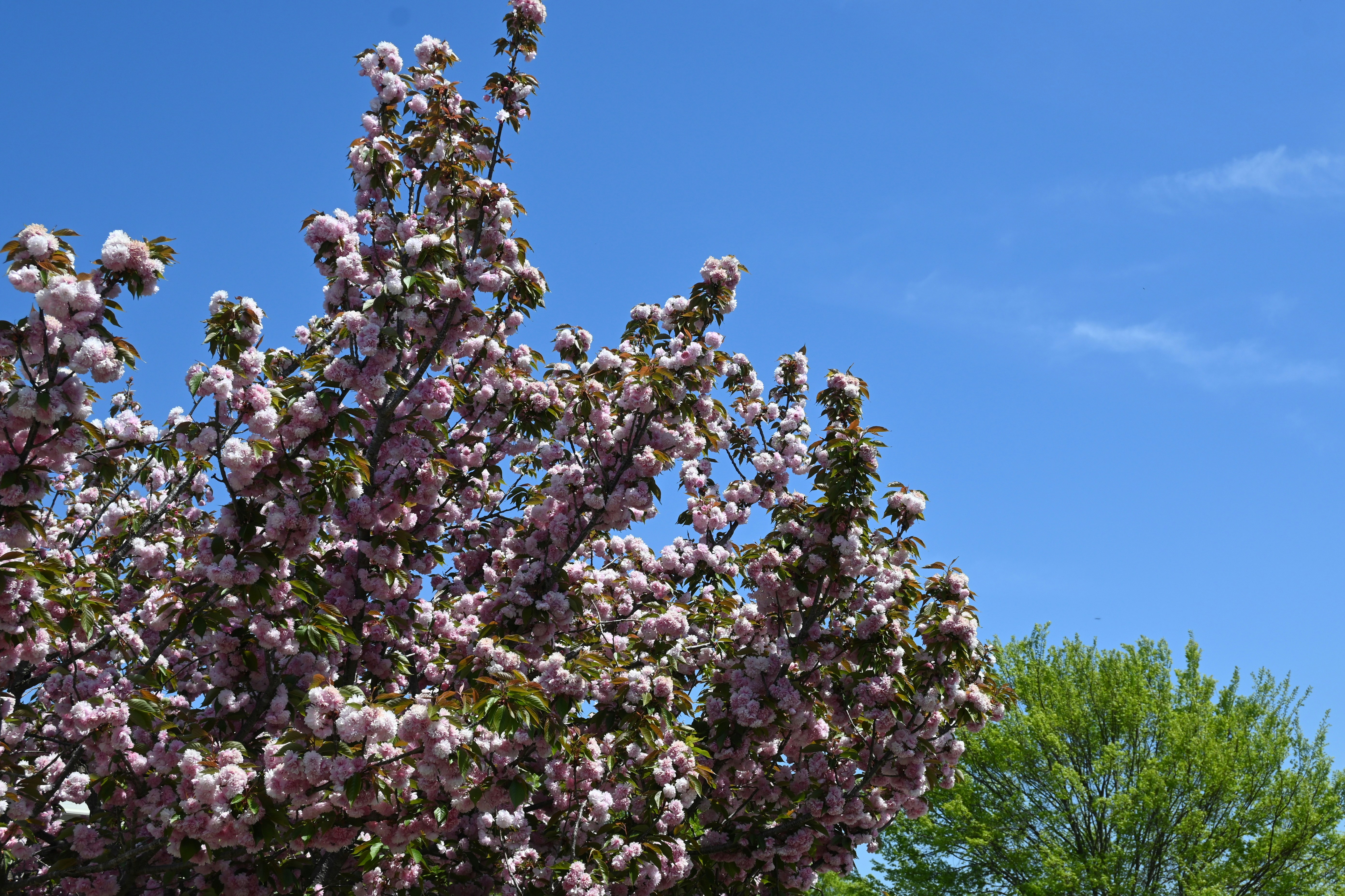 Photo by karolinabobek