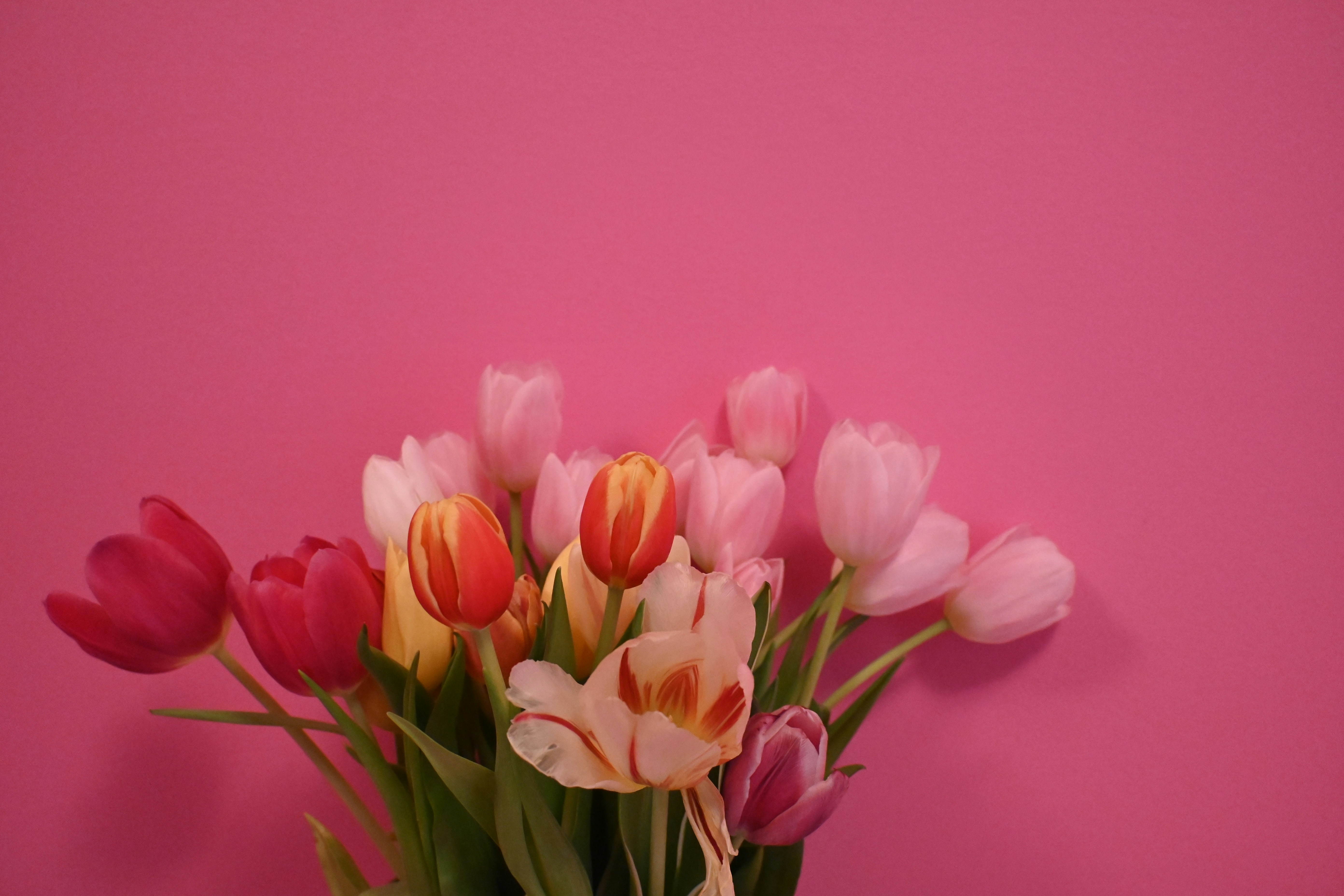 Photo by karolinabobek