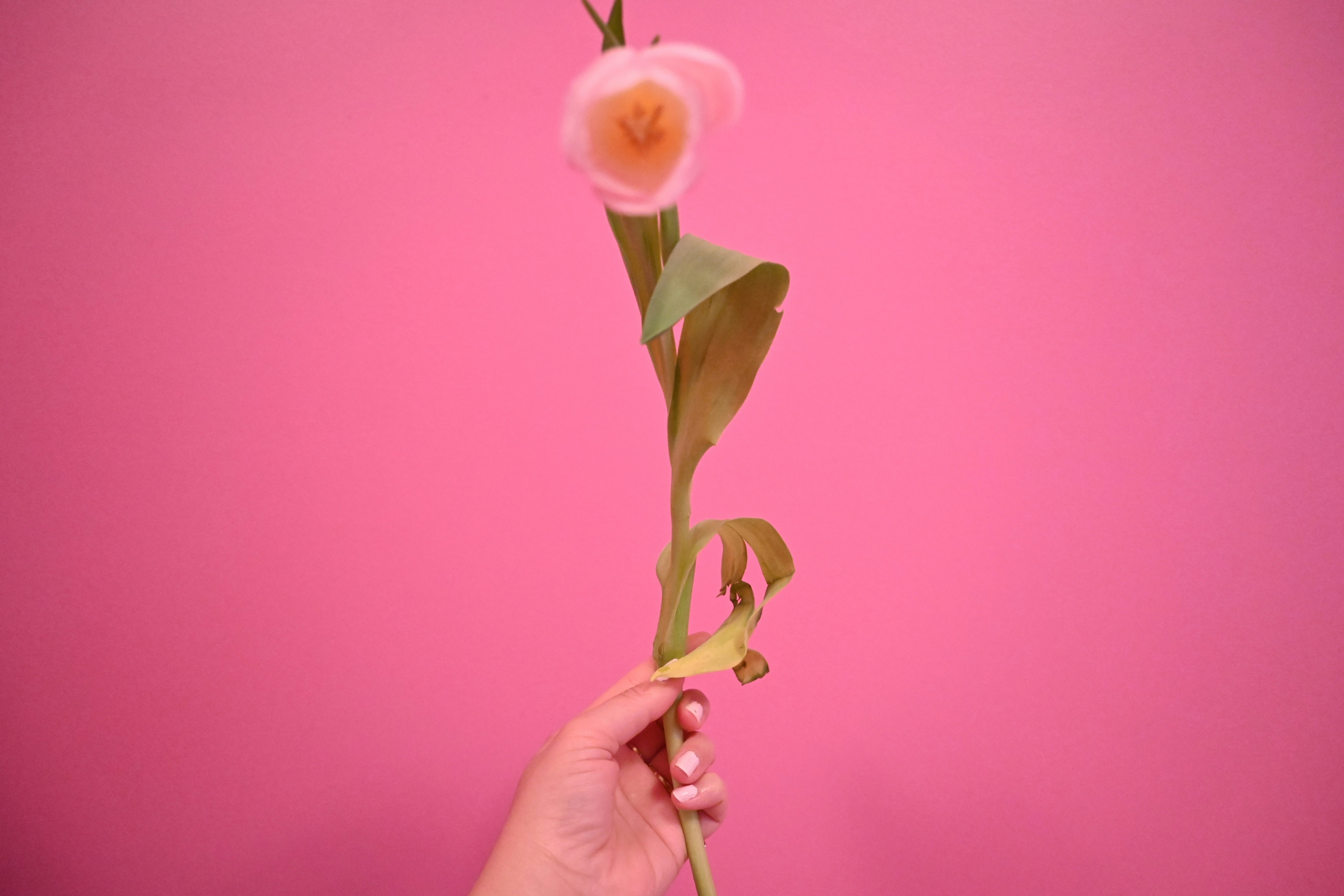 Photo by karolinabobek