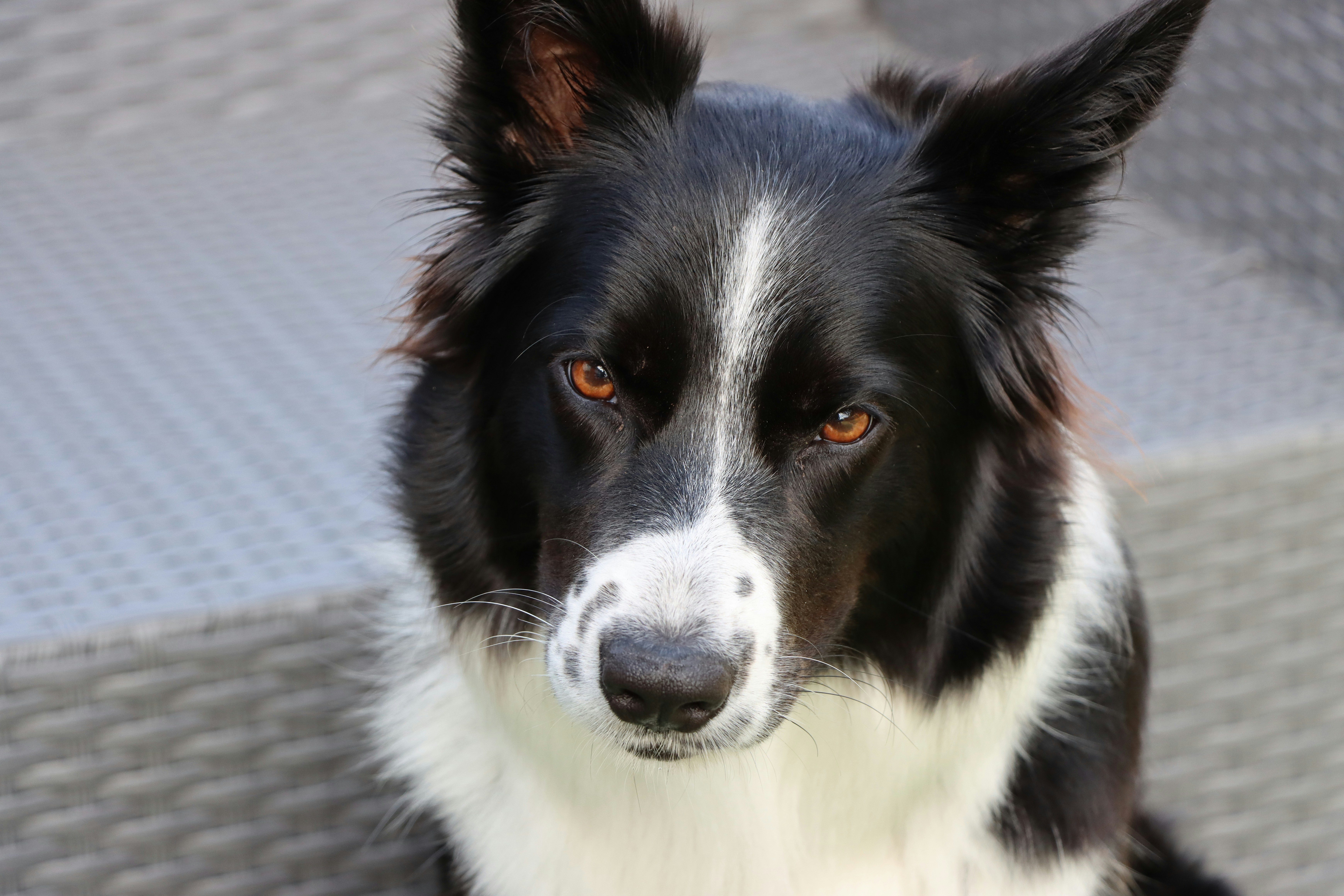 Photo by reelsandmusicvideos