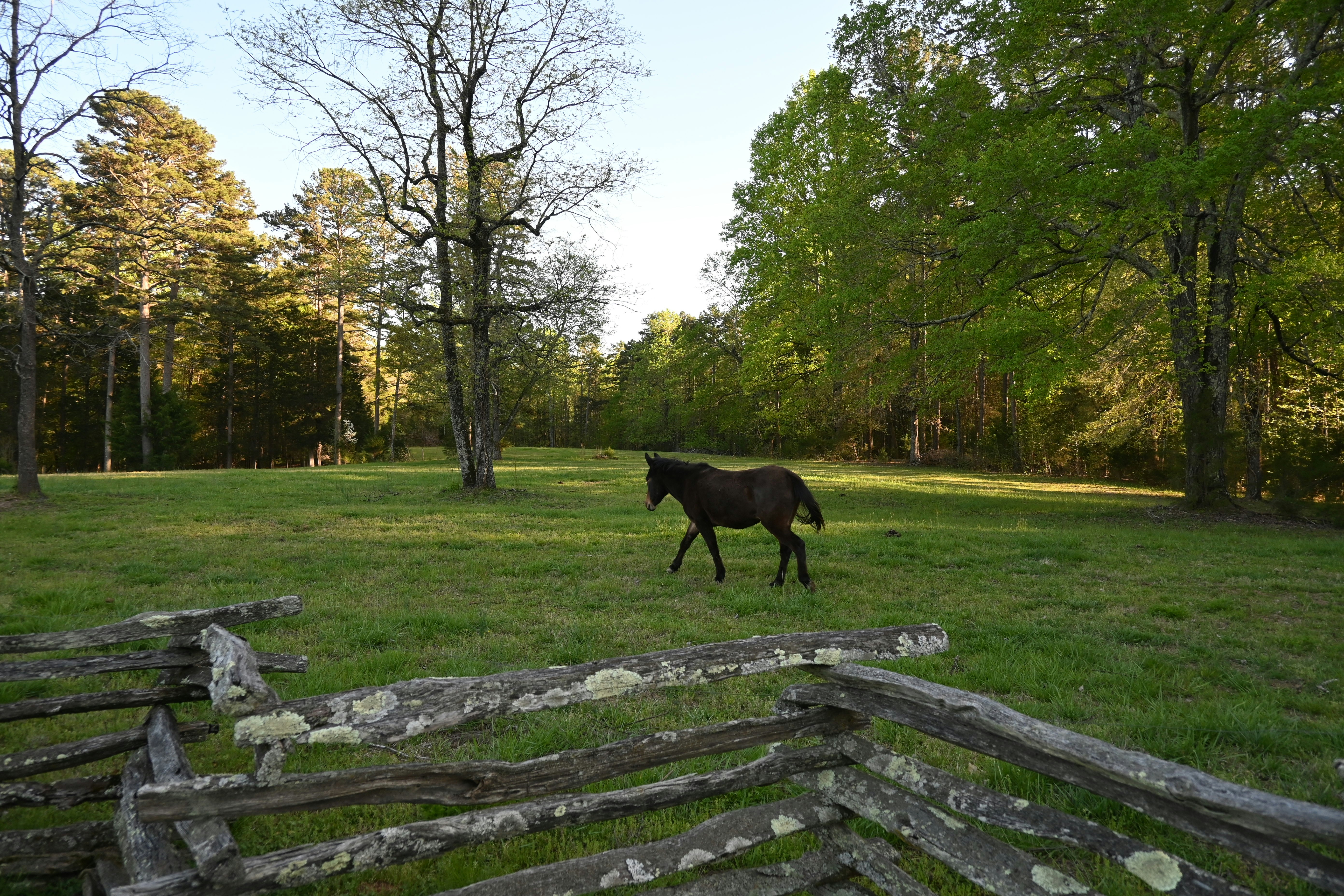 Photo by karolinabobek