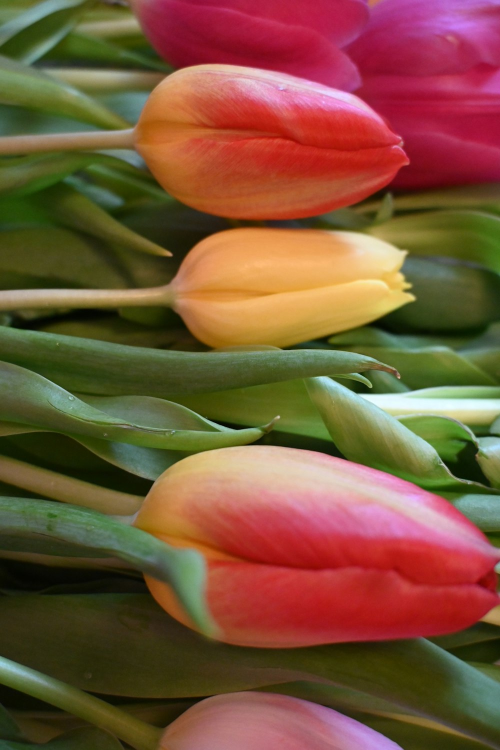 a close up of a bunch of flowers on a table