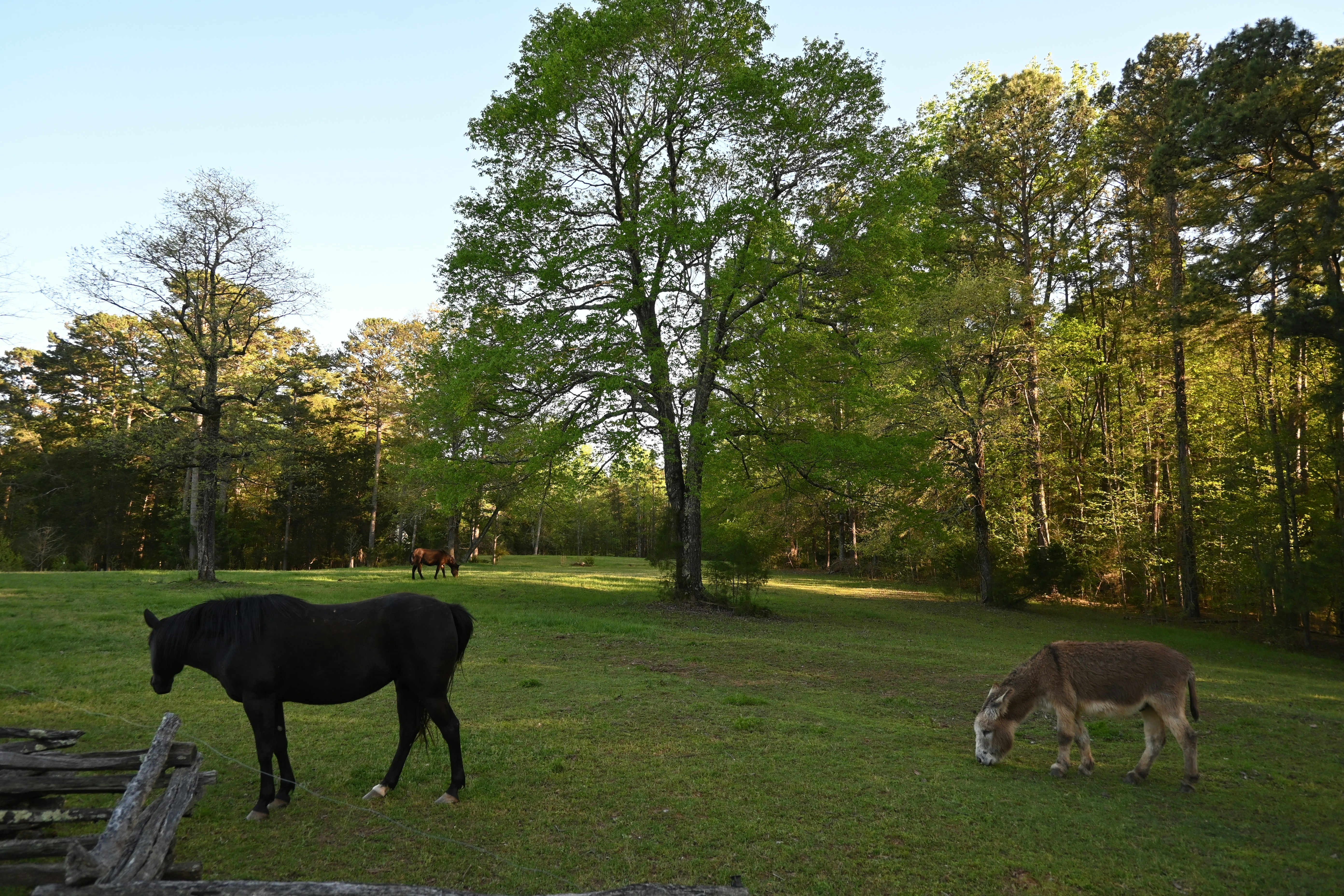 Photo by karolinabobek