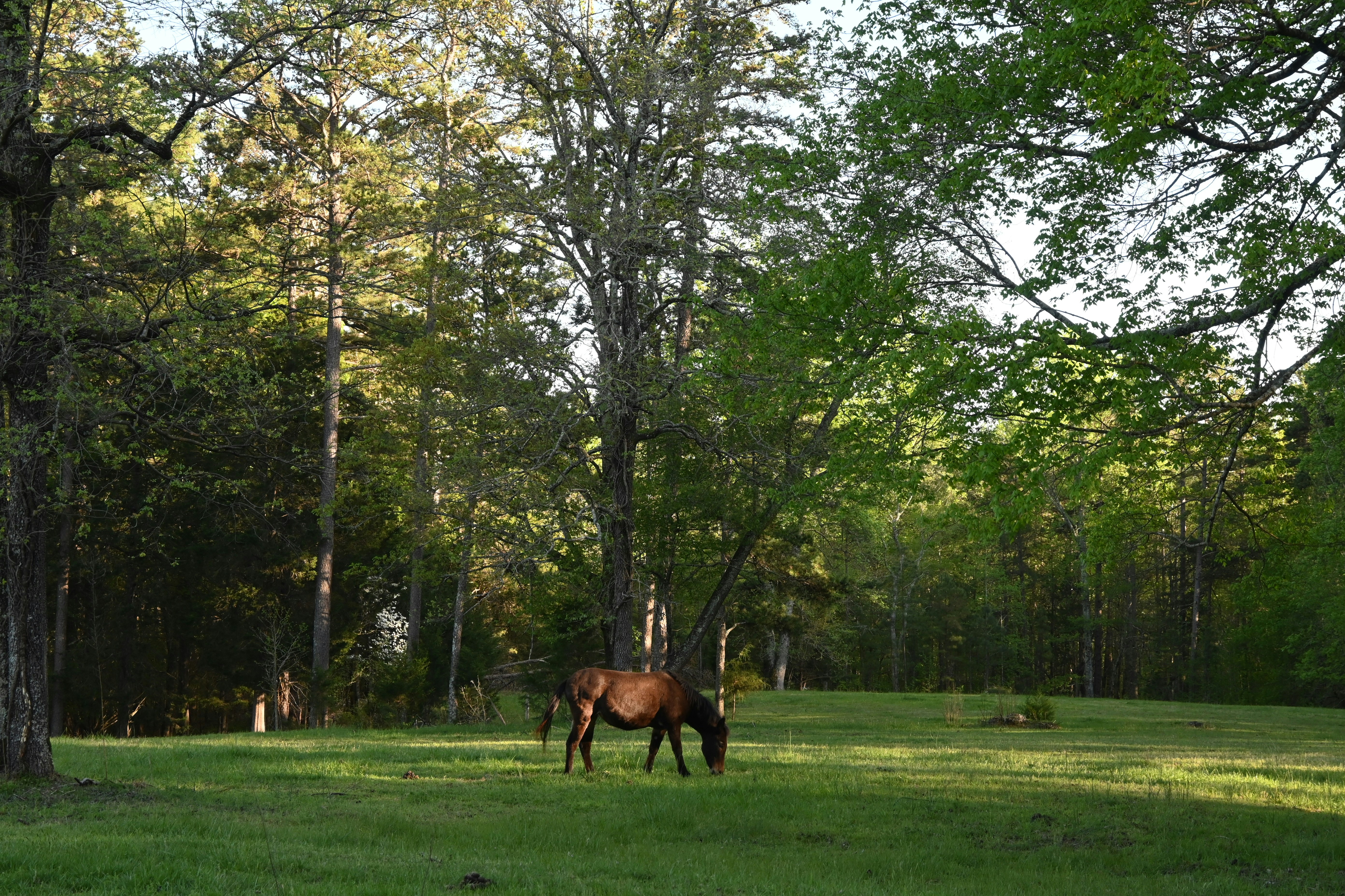 Photo by karolinabobek