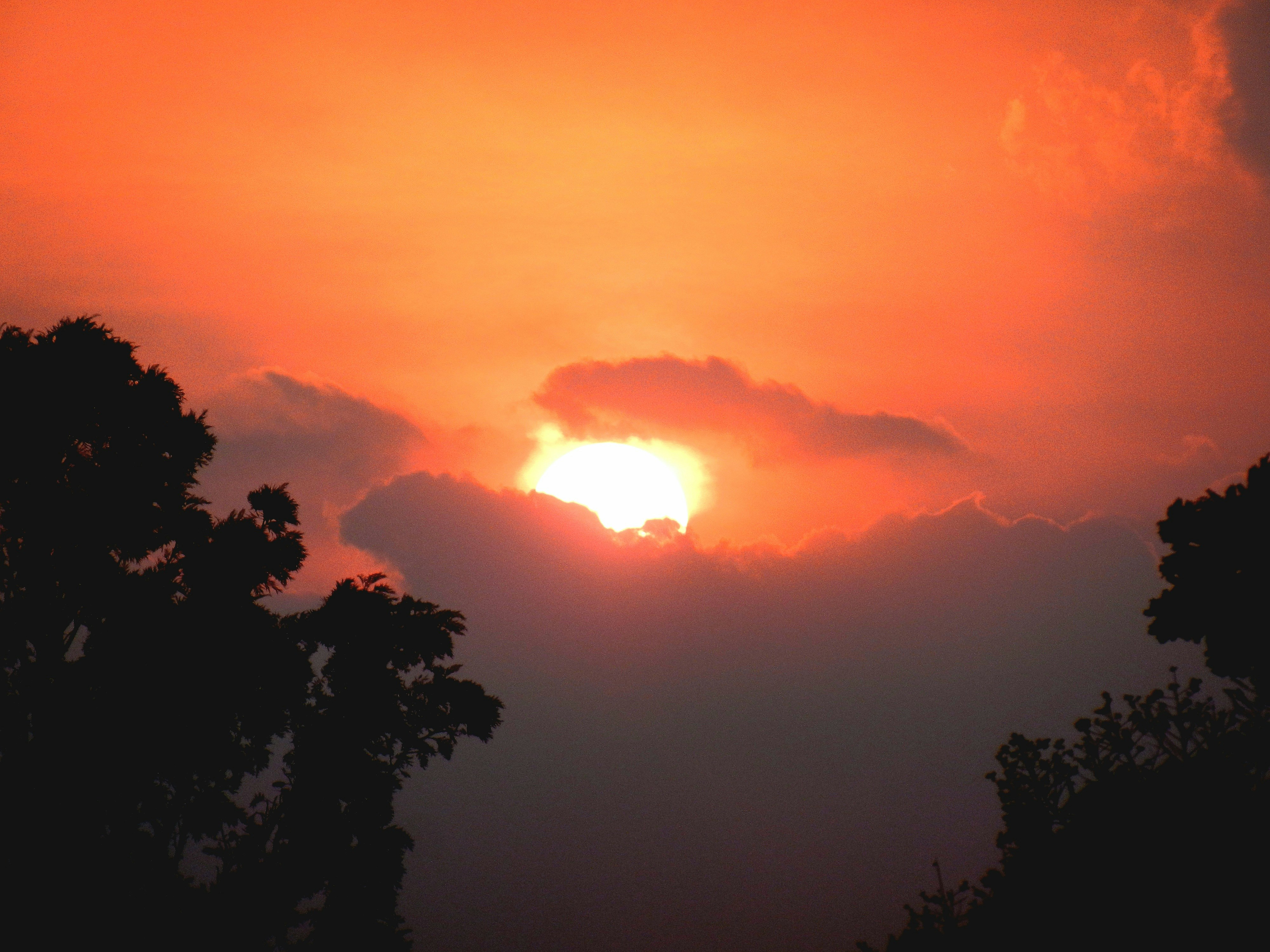 Photo by 5zantrigger