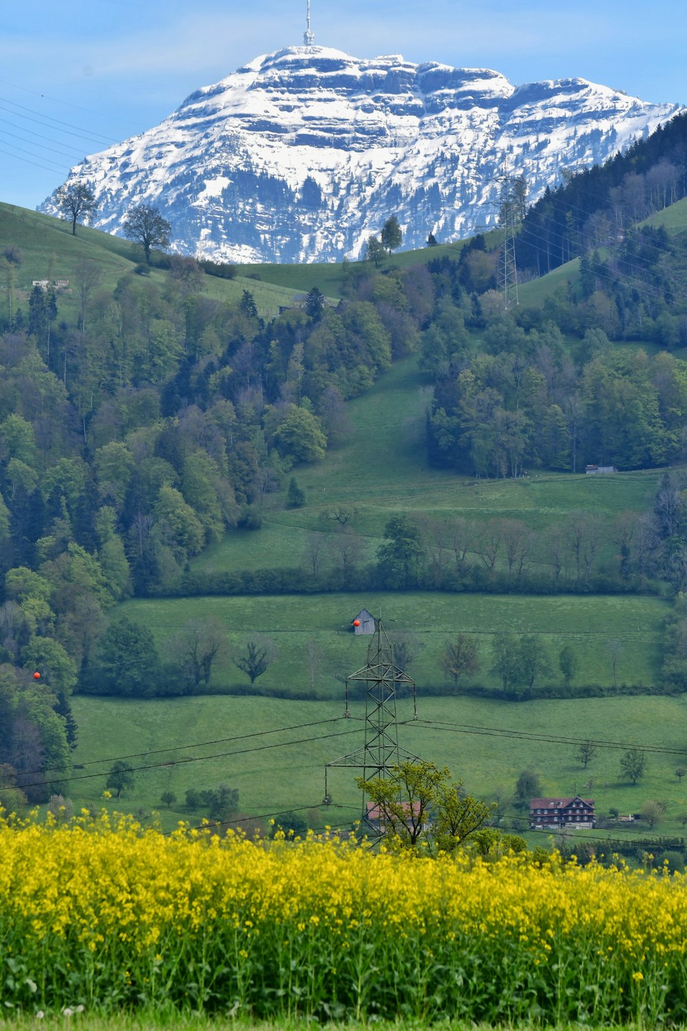 a mountain with a snow covered peak in the distance