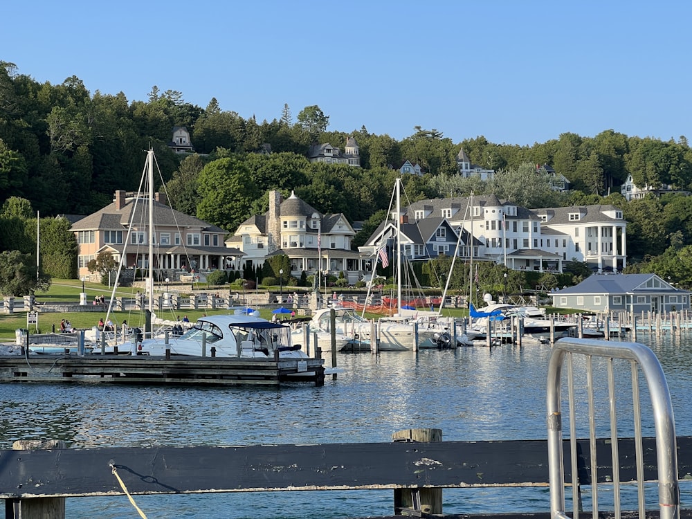 a boat dock with a row of houses in the background