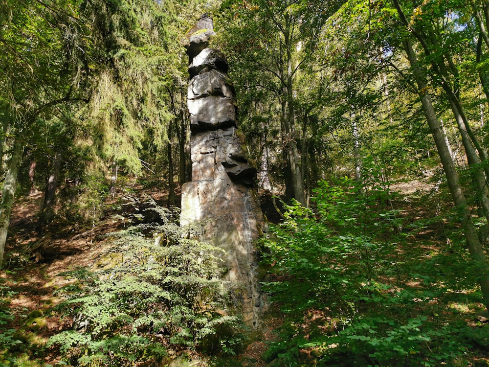 a large rock in the middle of a forest