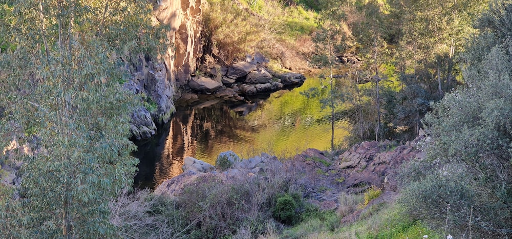 a man riding a horse down a trail next to a body of water