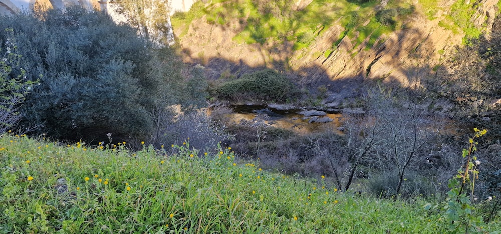 a view of a mountain with a river running through it