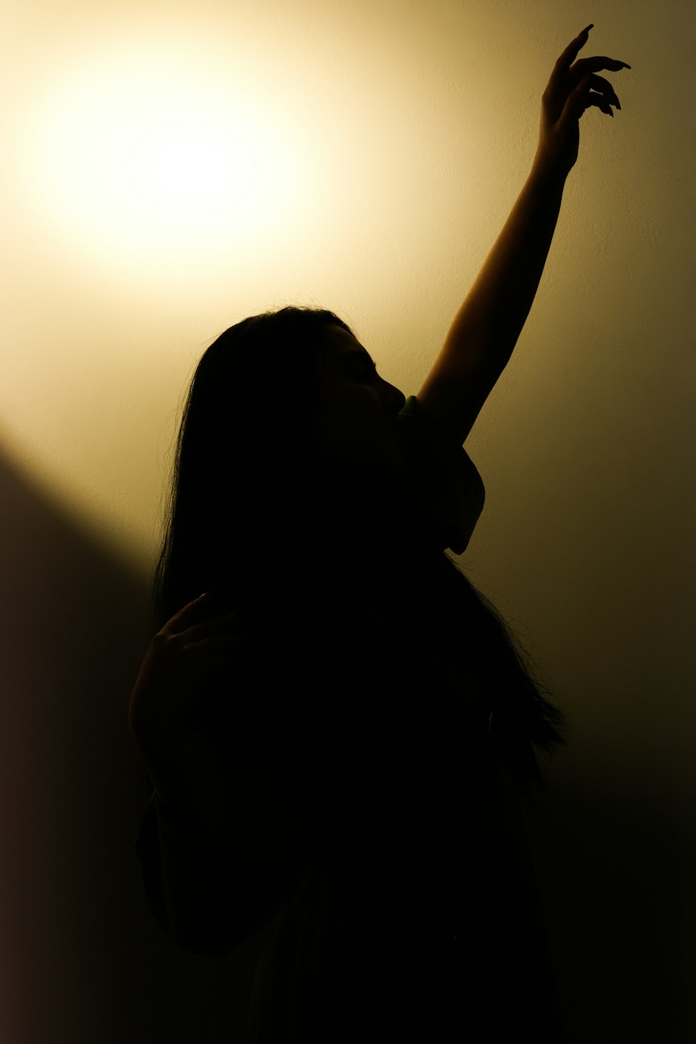 a silhouette of a woman raising her hand in the air