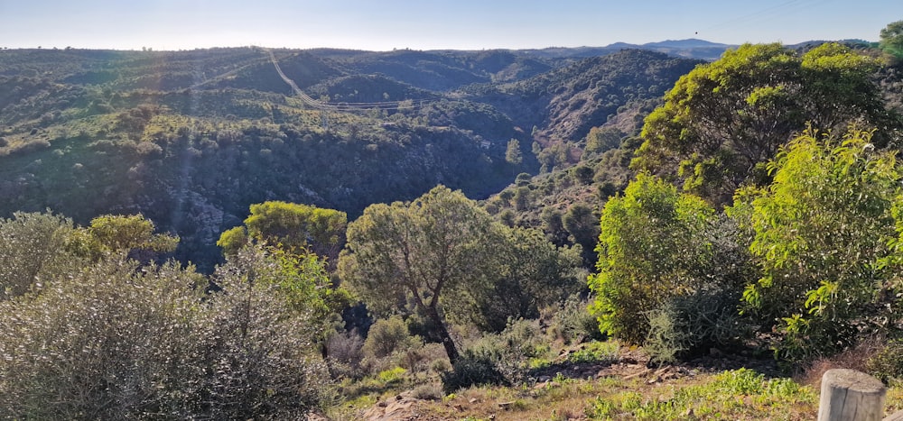 a view of the mountains from the top of a hill