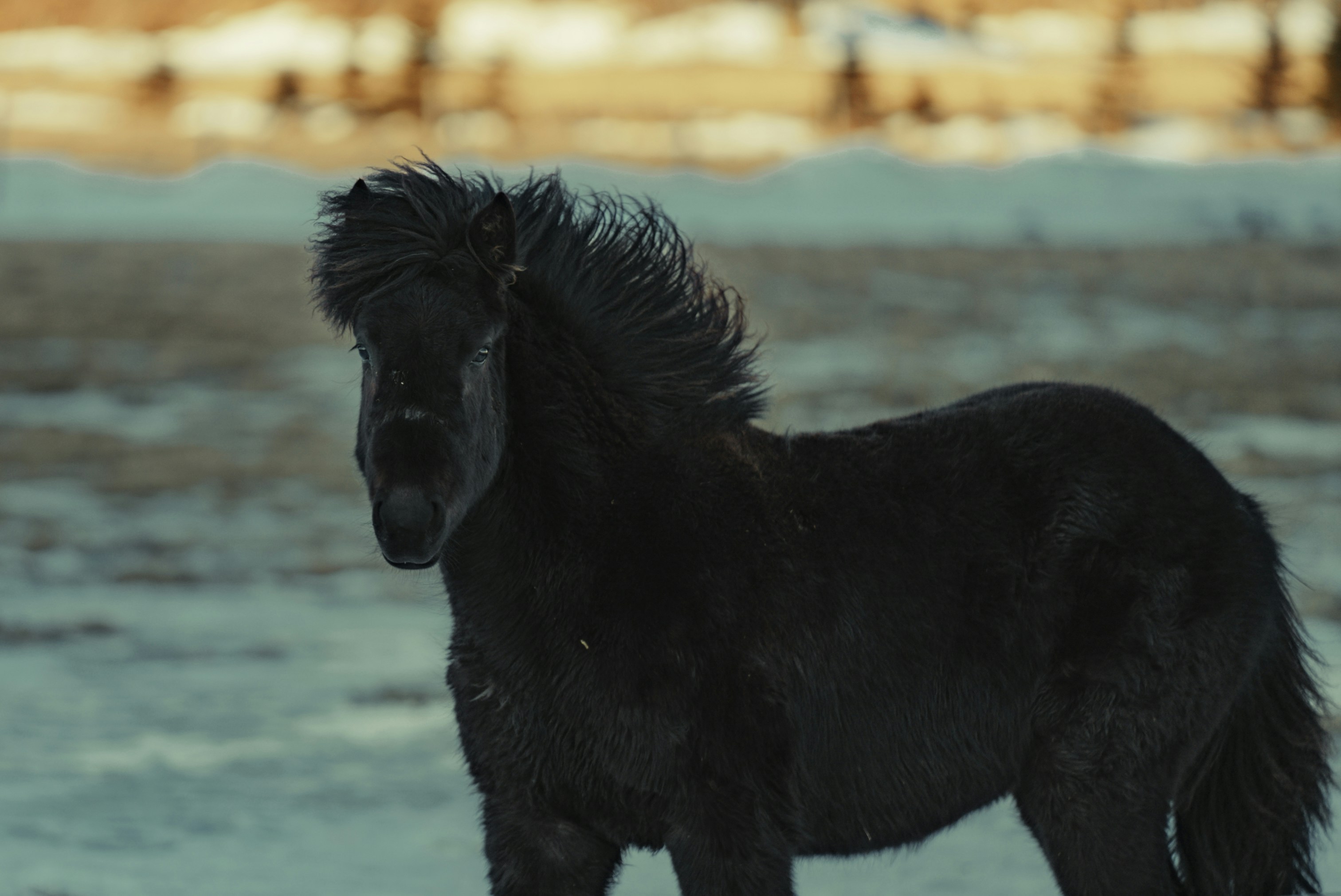 Photo by bryanbrittos