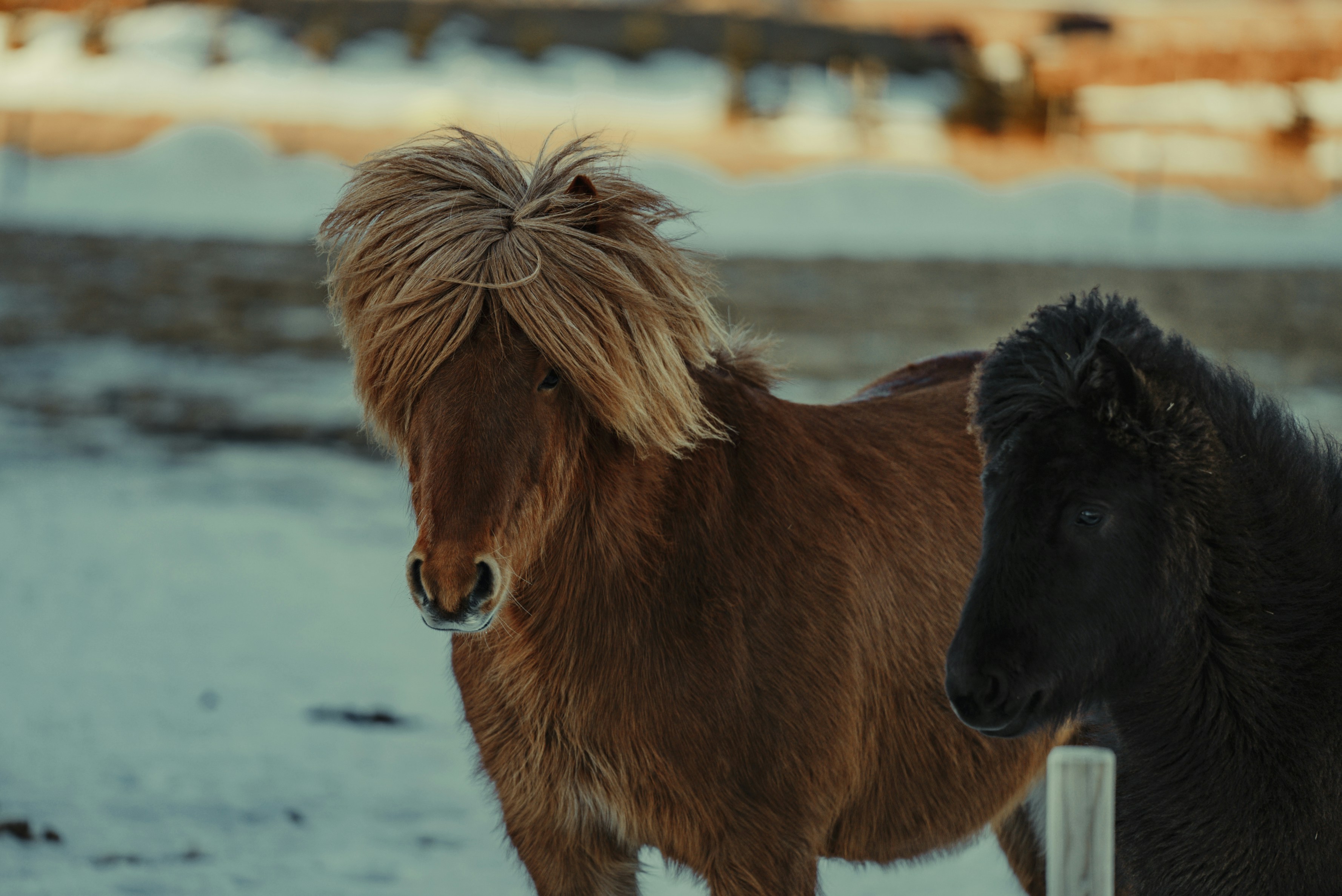 Photo by bryanbrittos