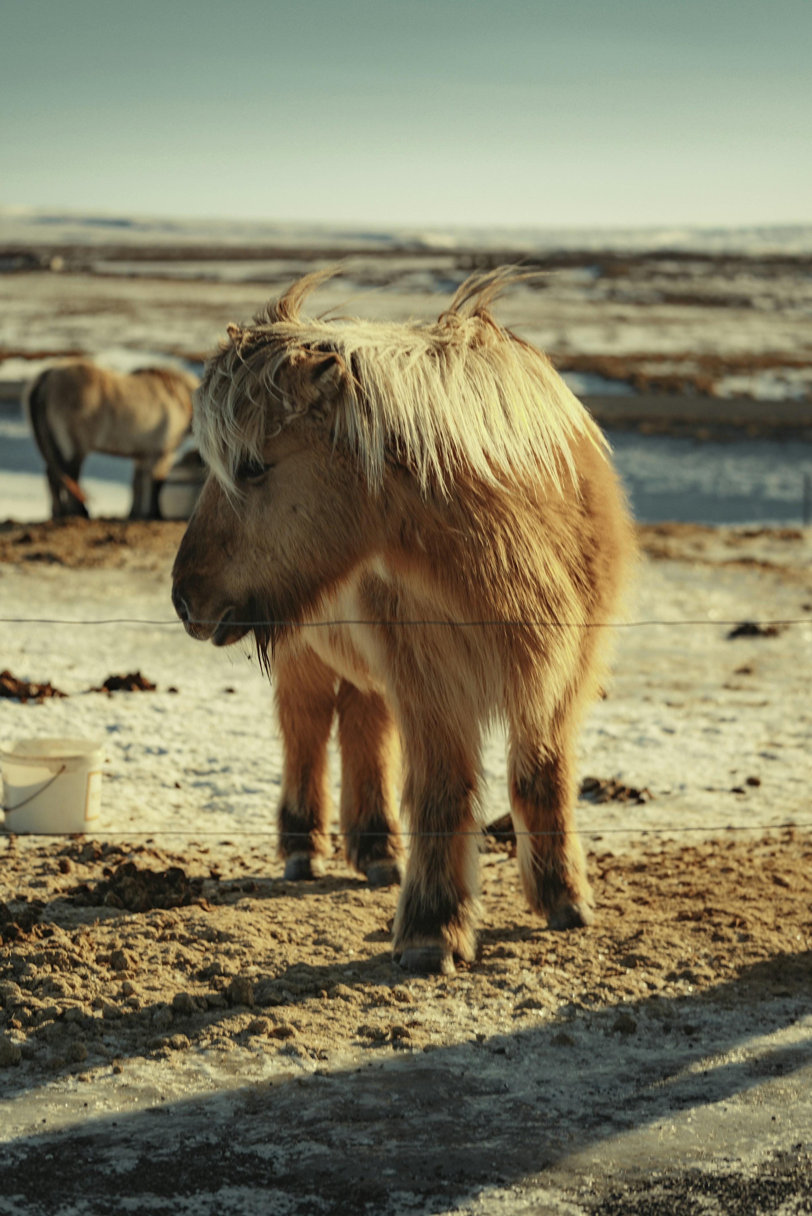 Photo by bryanbrittos