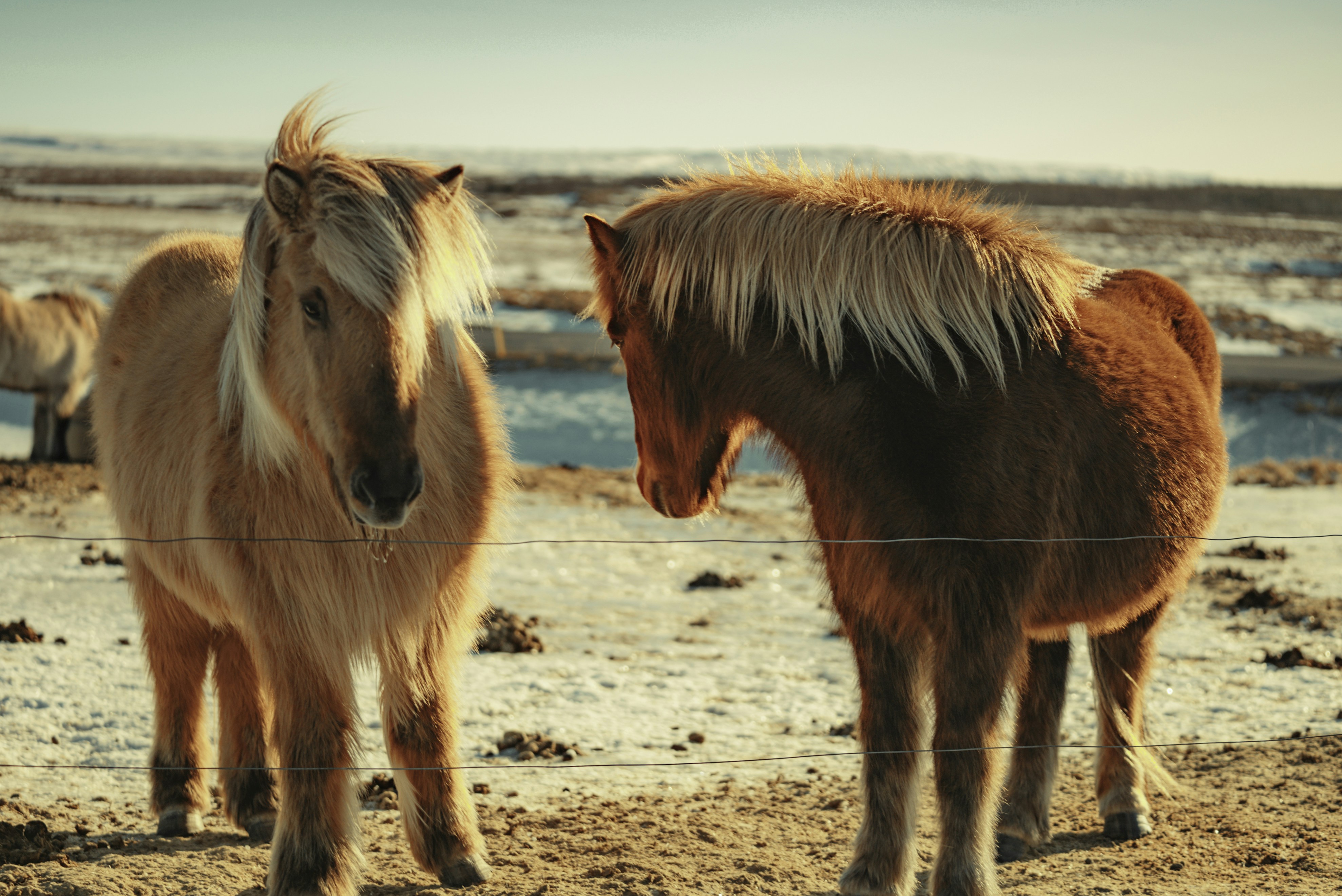 Photo by bryanbrittos