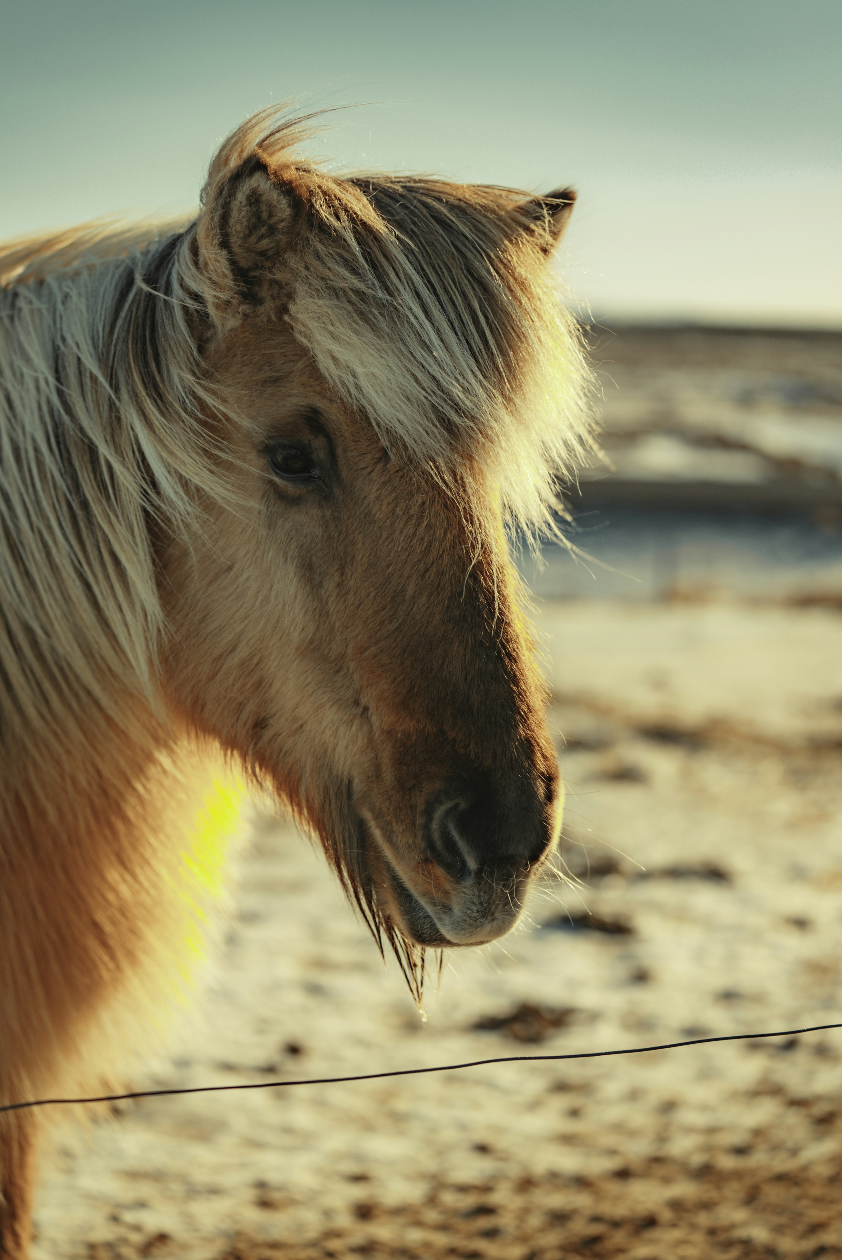 Photo by bryanbrittos