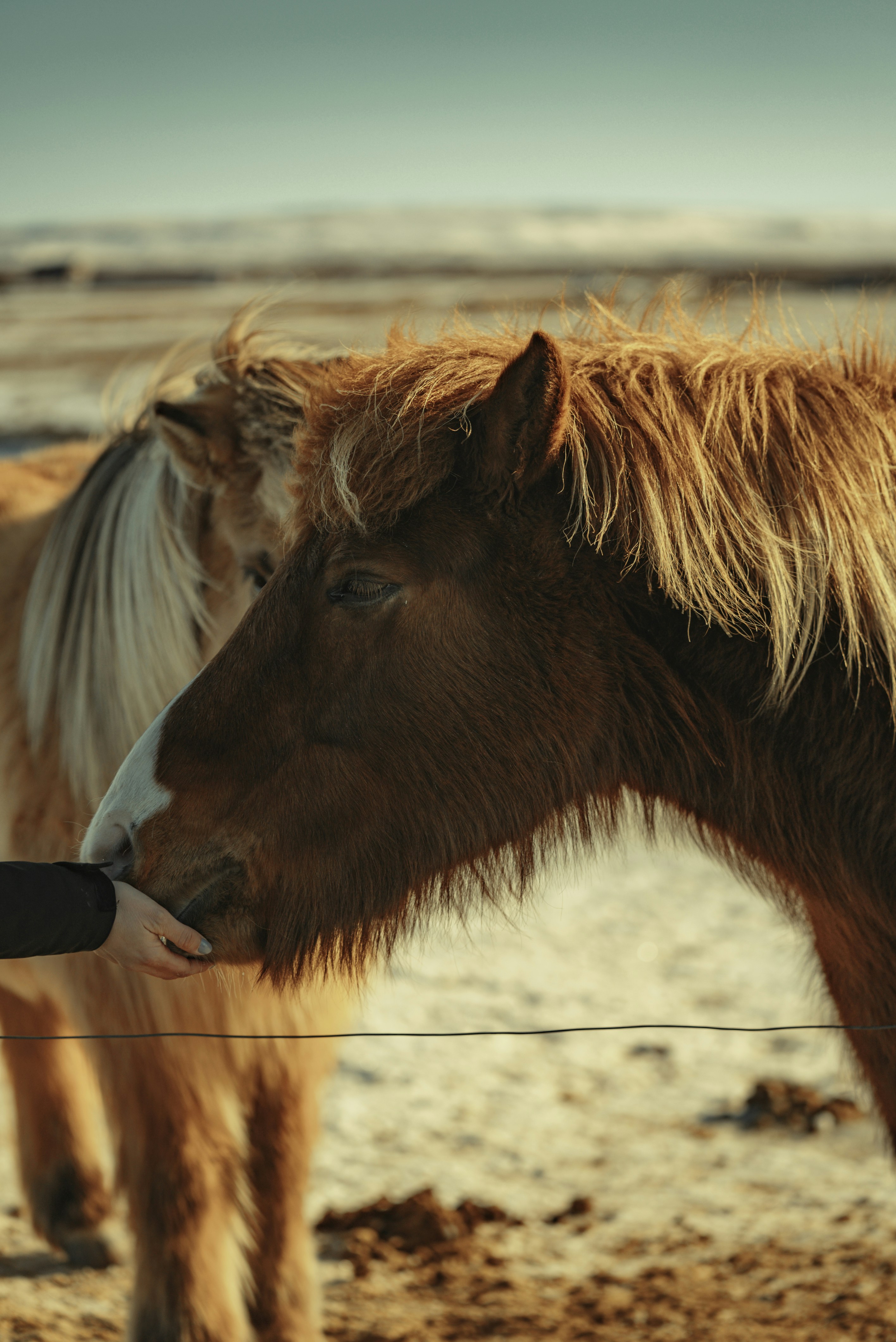 Photo by bryanbrittos