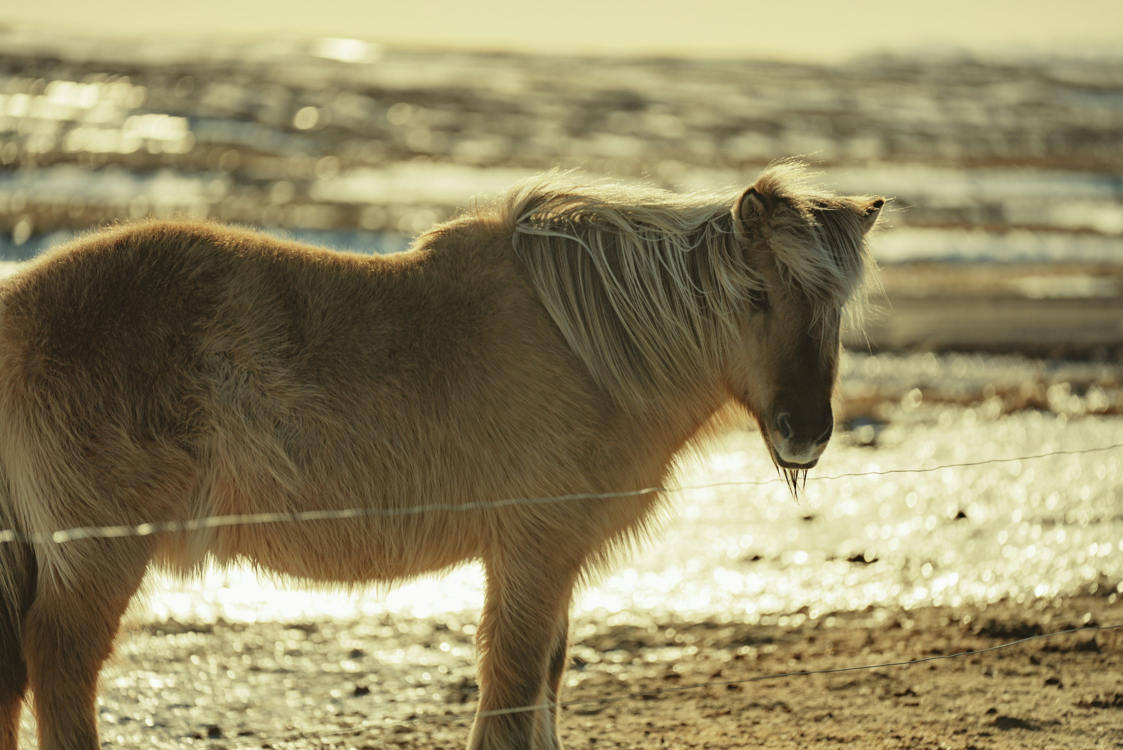 Photo by bryanbrittos