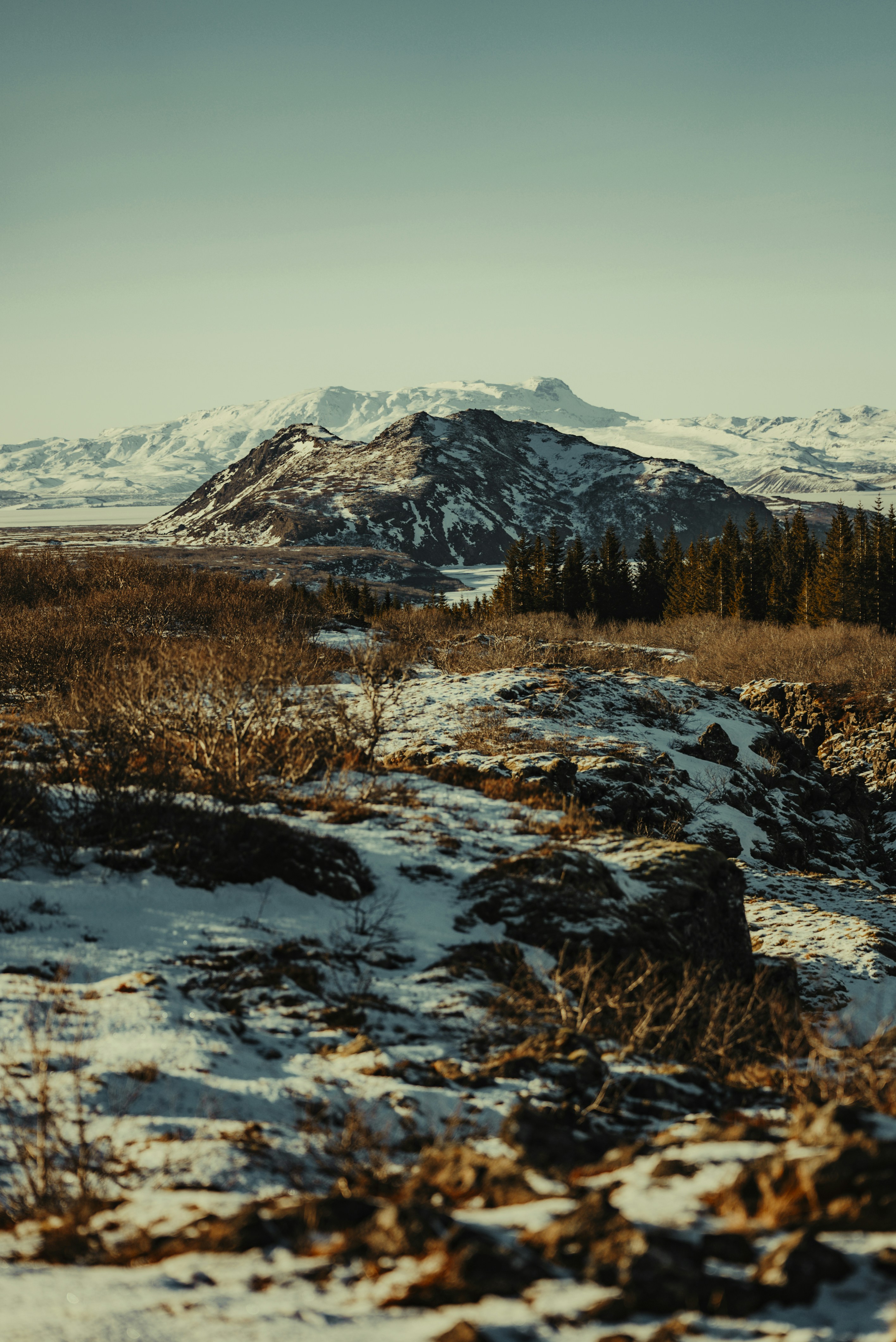 Photo by bryanbrittos