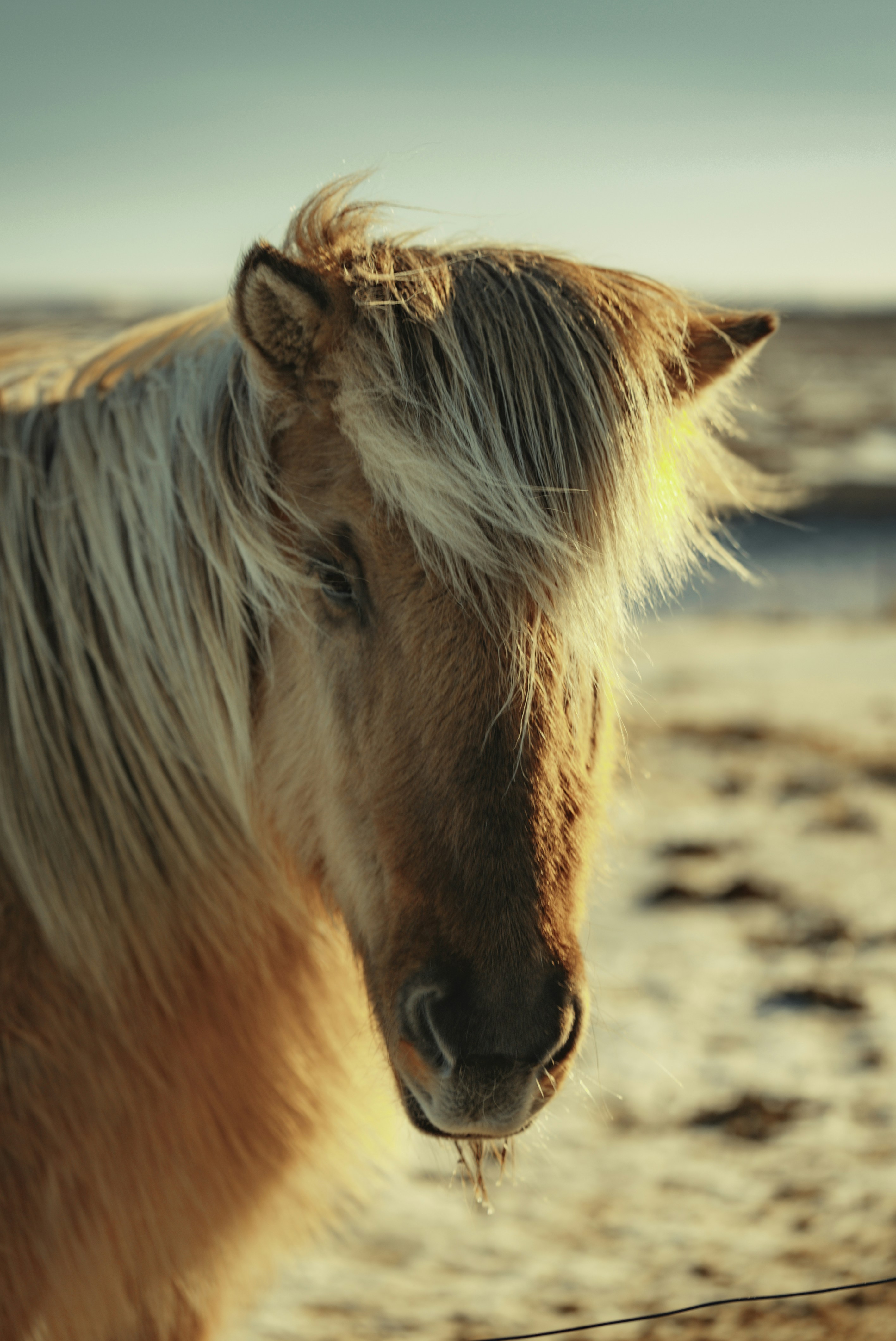 Photo by bryanbrittos