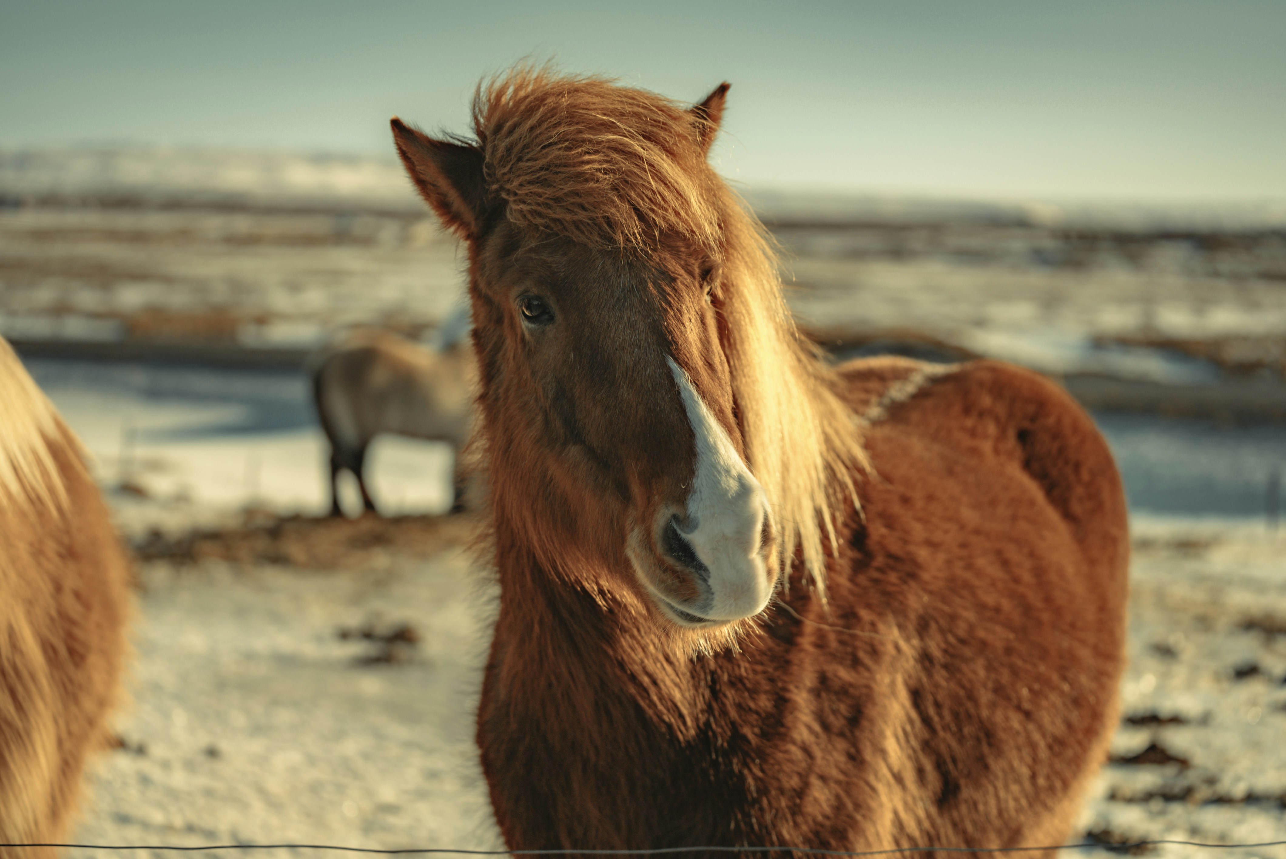 Photo by bryanbrittos