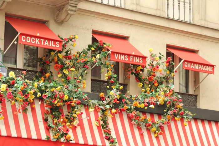 Best Affordable Bars in Paris Where You Can Actually Afford a Round