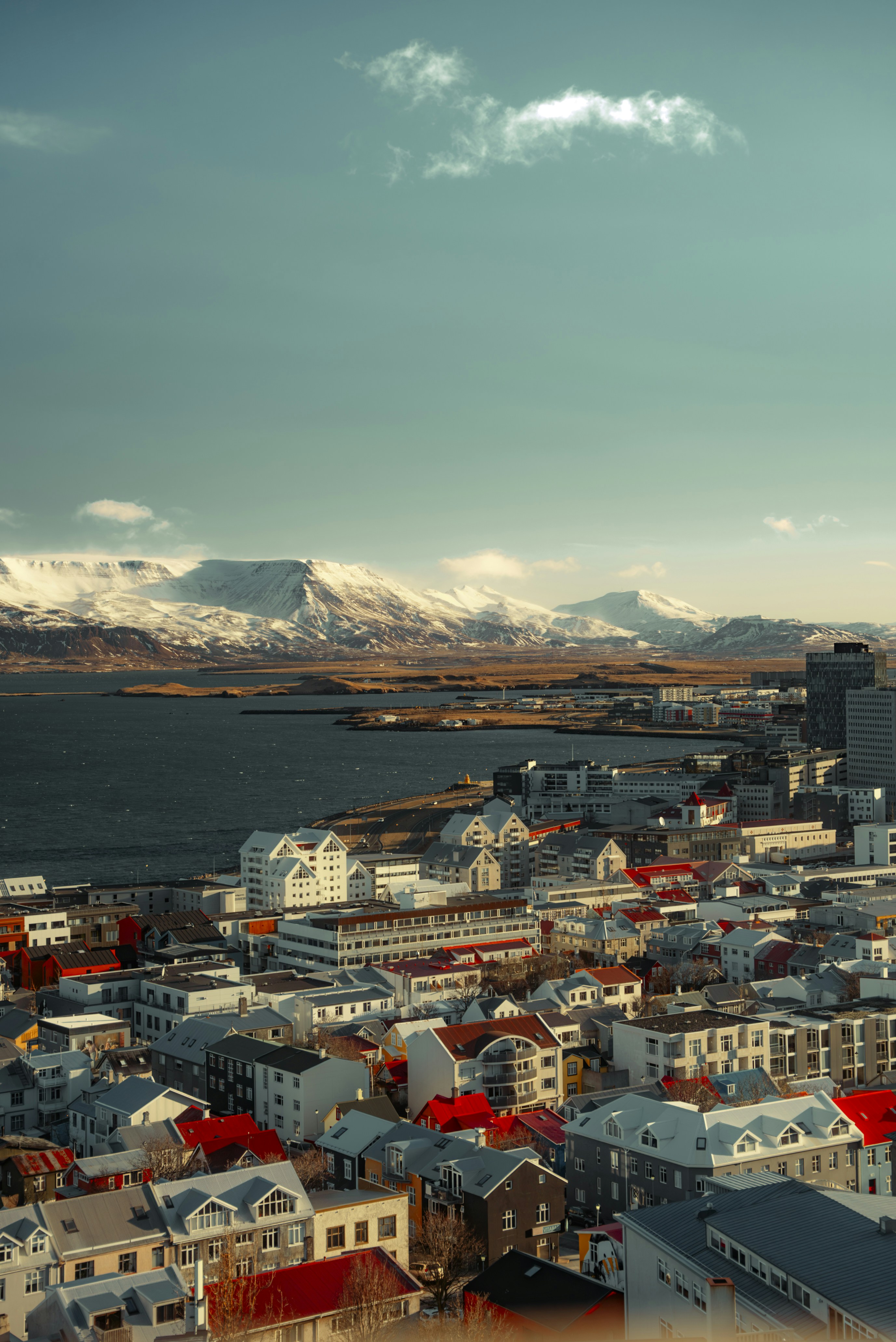 Photo by bryanbrittos