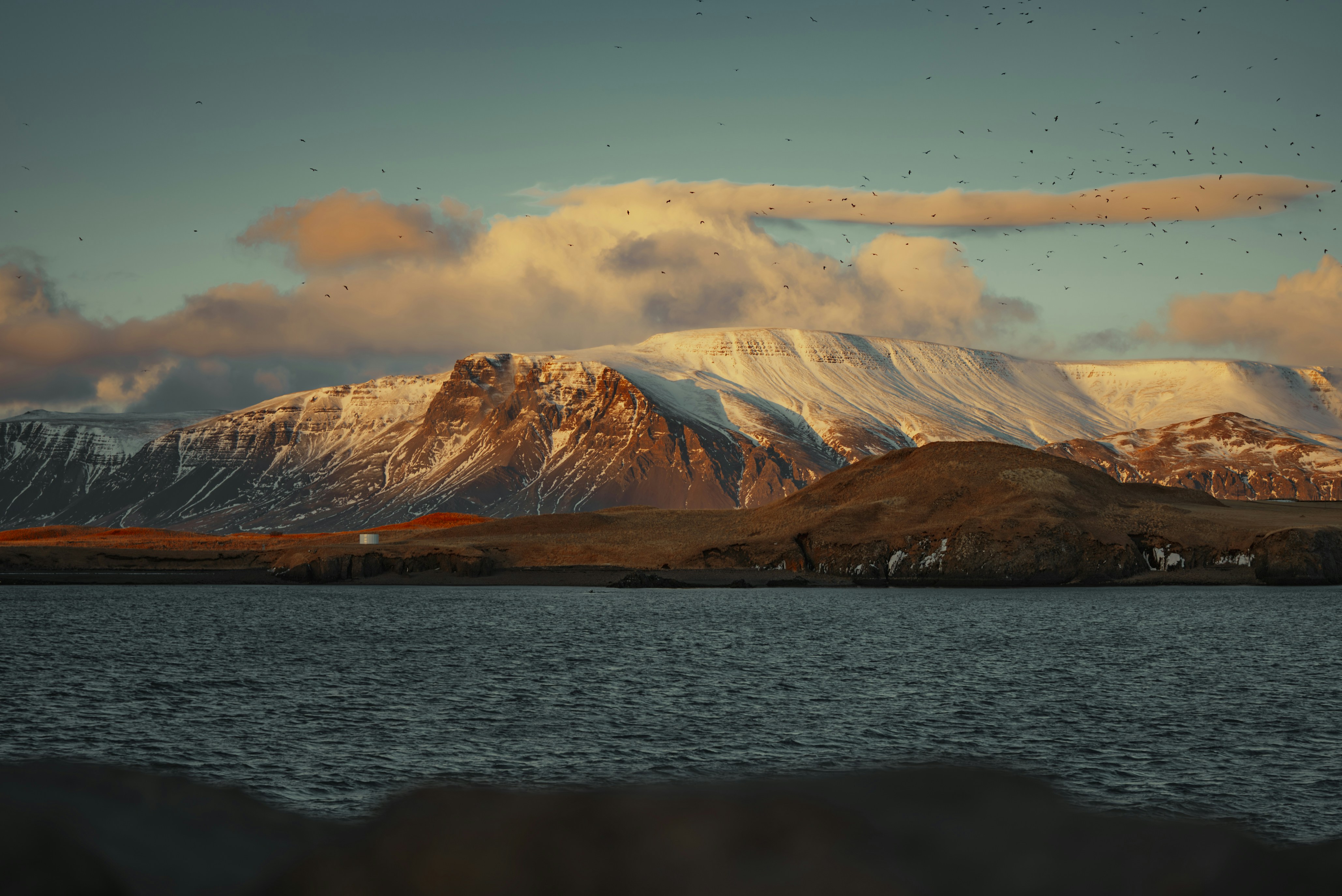 Photo by bryanbrittos