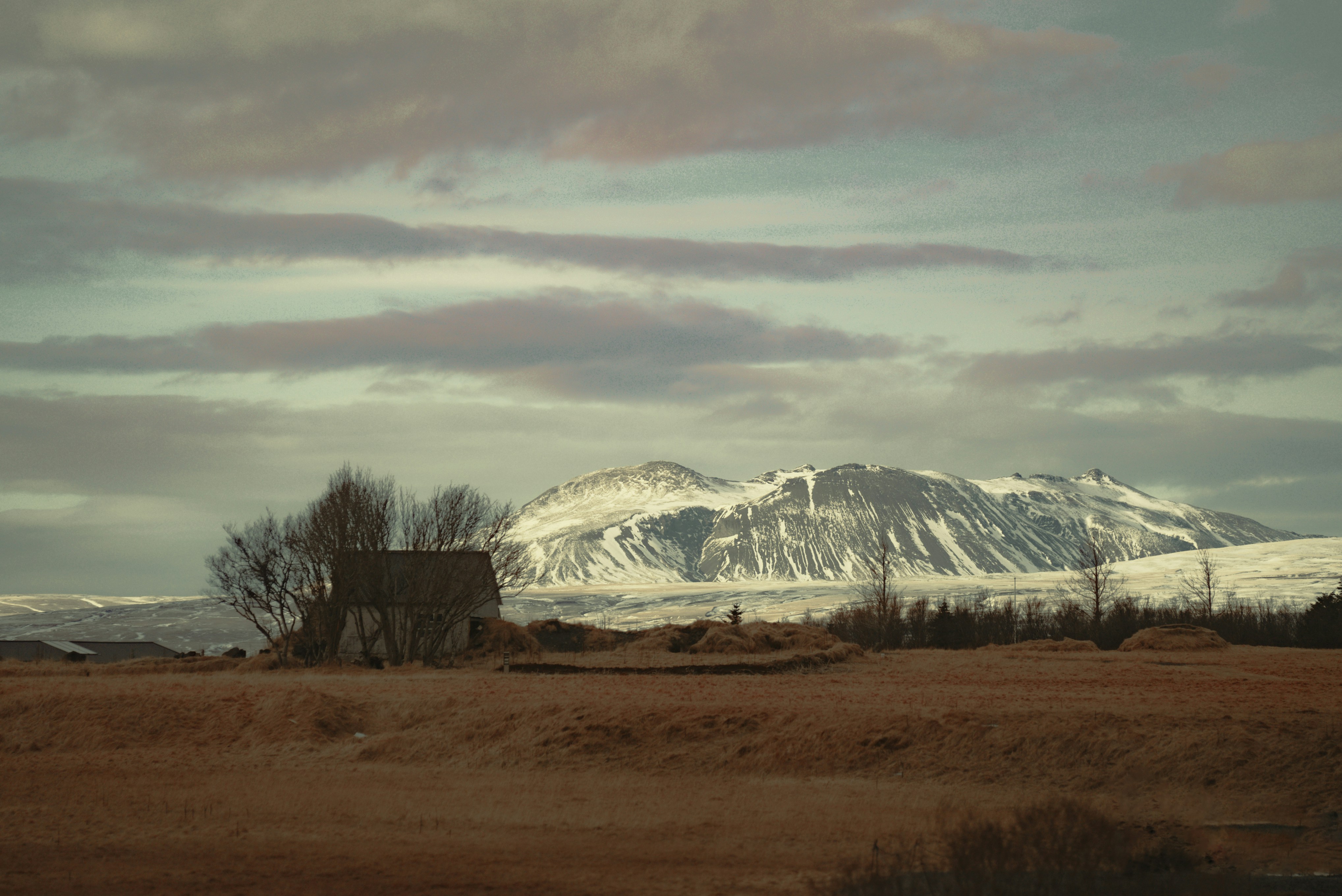 Photo by bryanbrittos