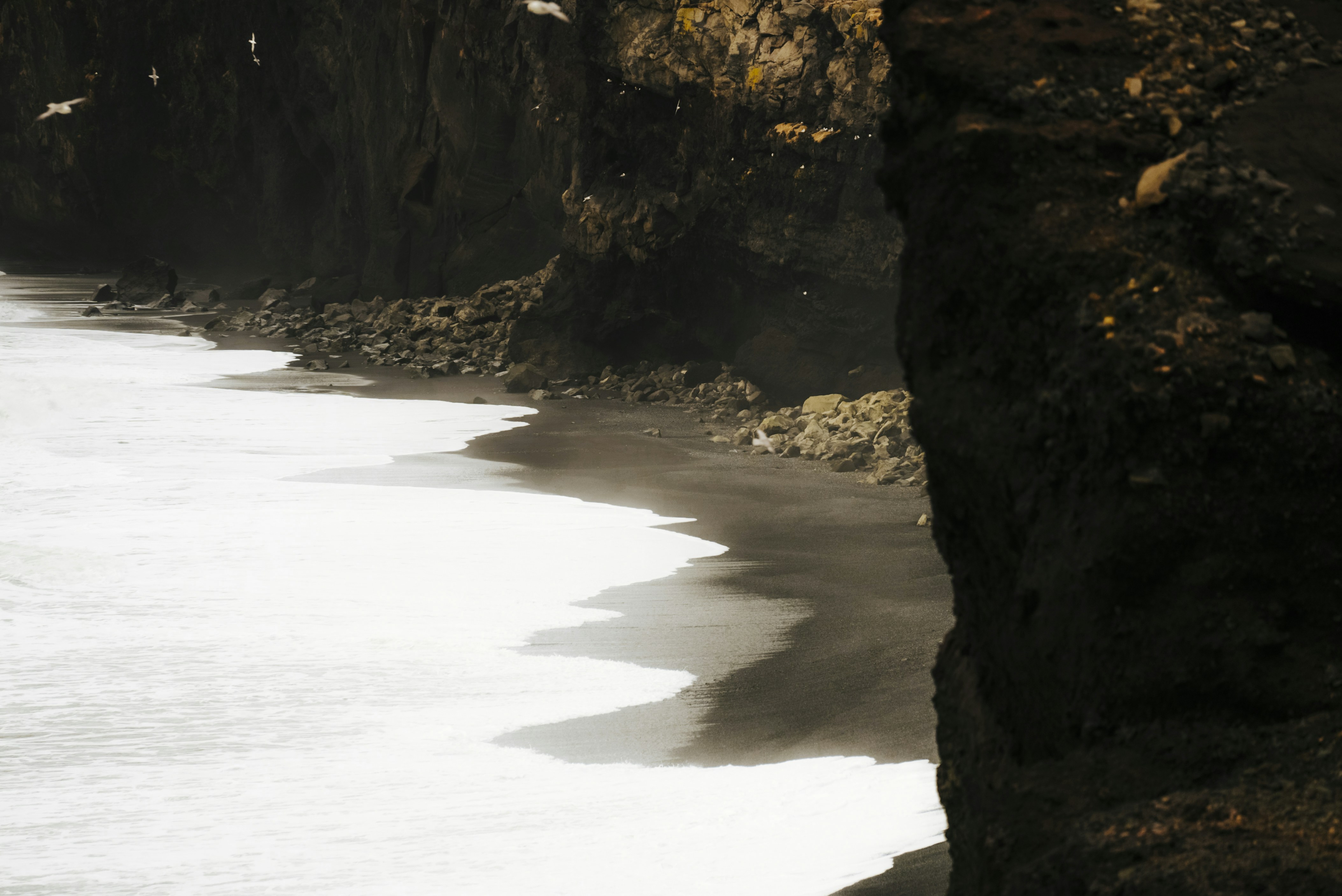 Photo by bryanbrittos