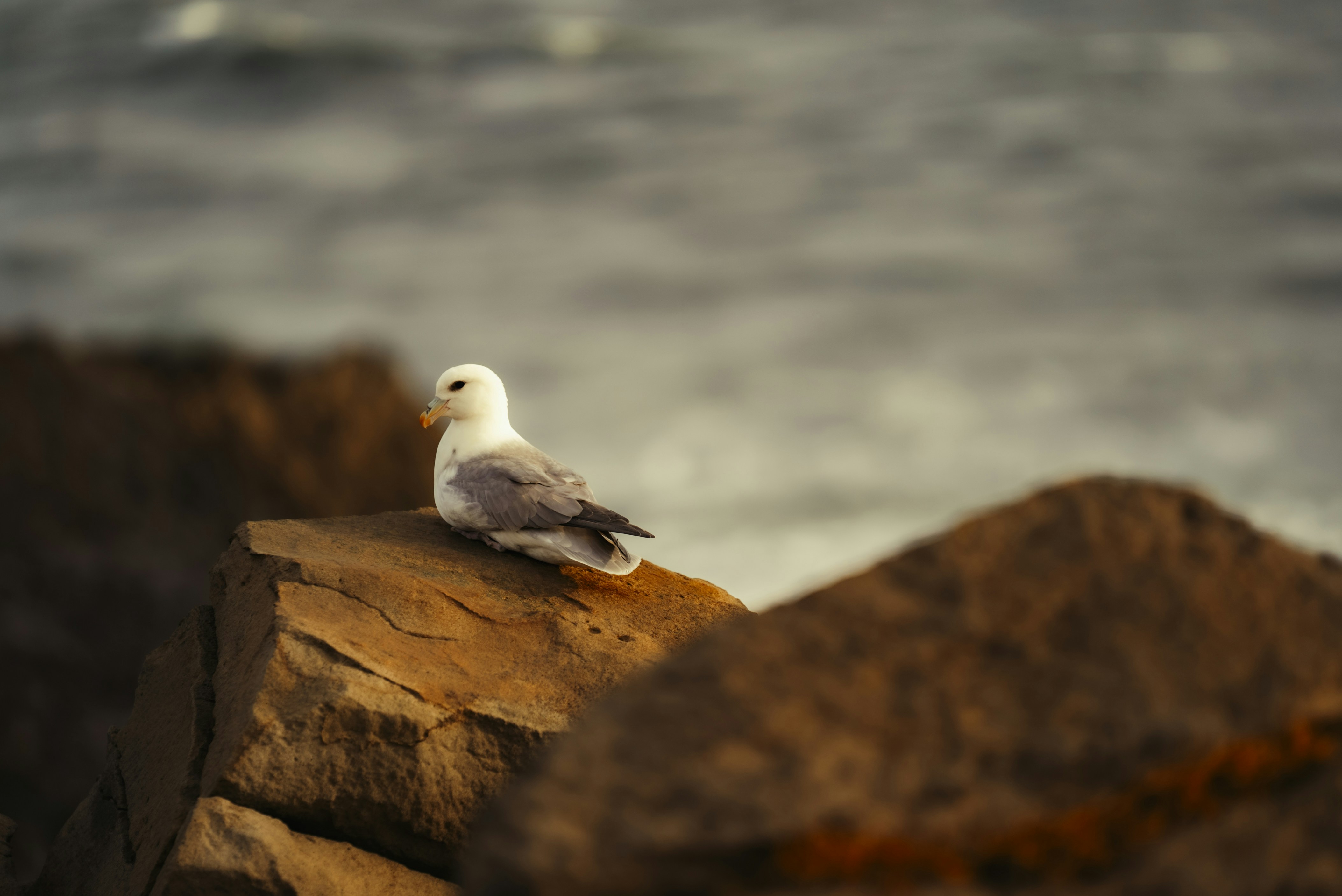 Photo by bryanbrittos