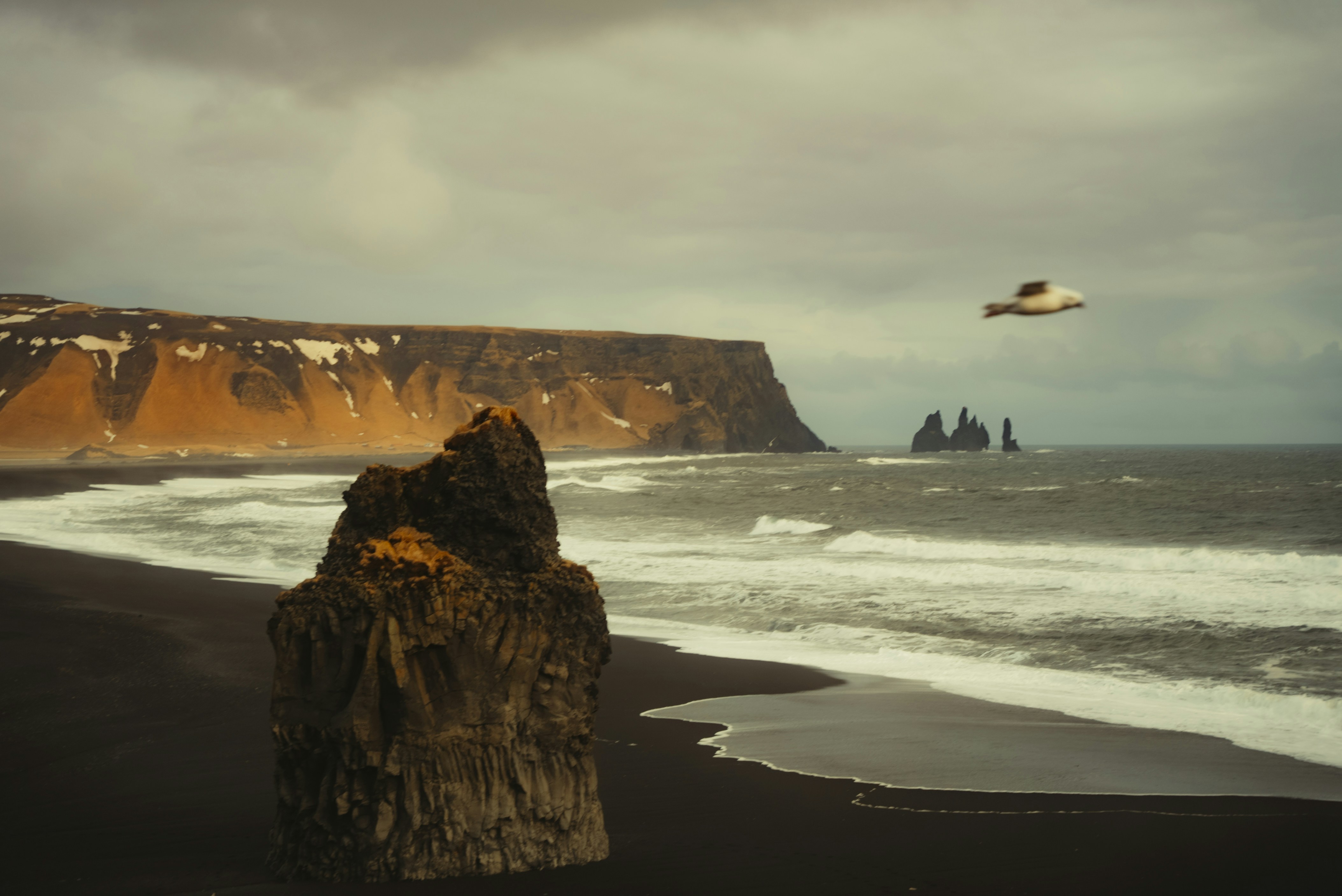 a bird flying over a beach next to the ocean