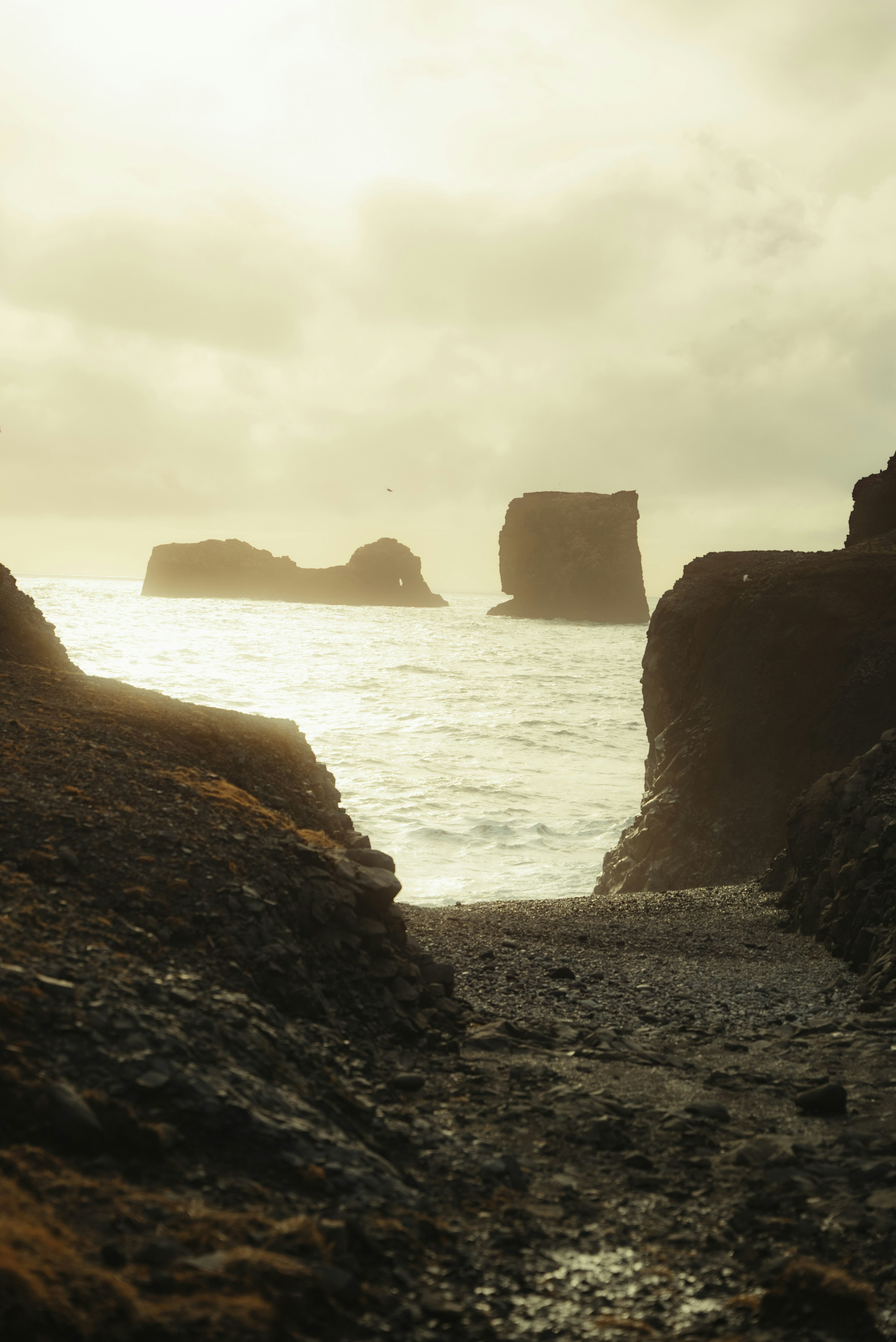 Photo by bryanbrittos