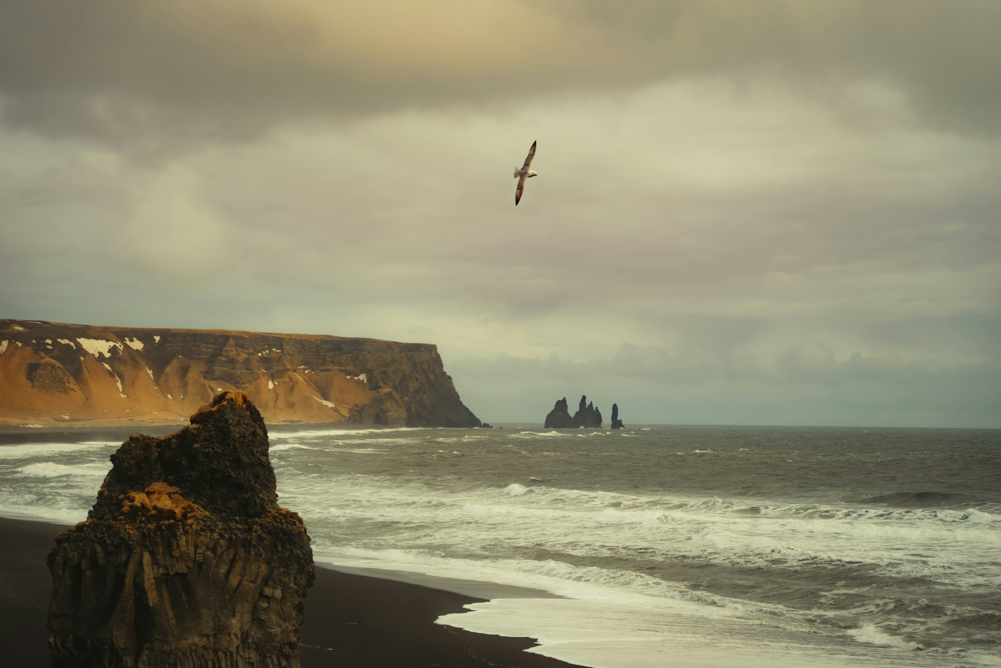 Photo by bryanbrittos