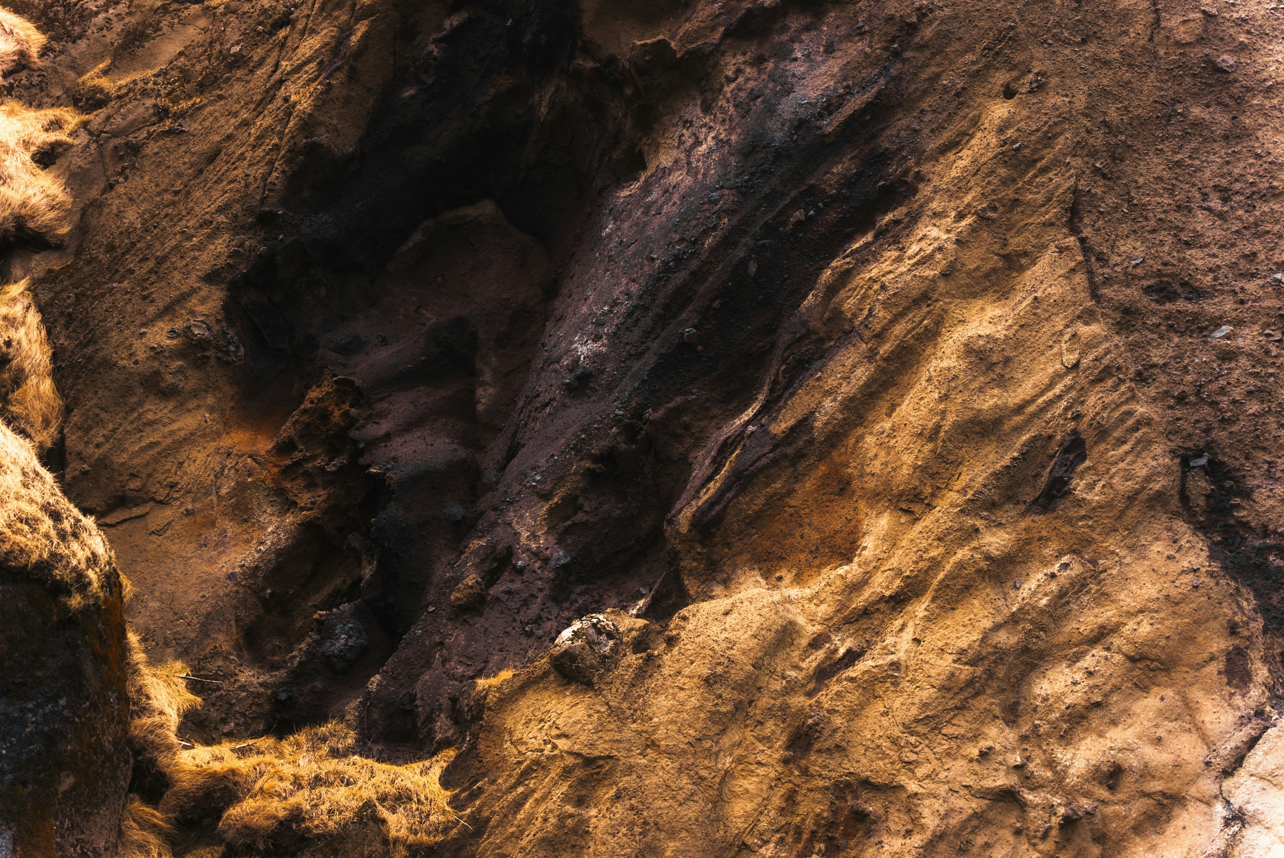 Photo by bryanbrittos