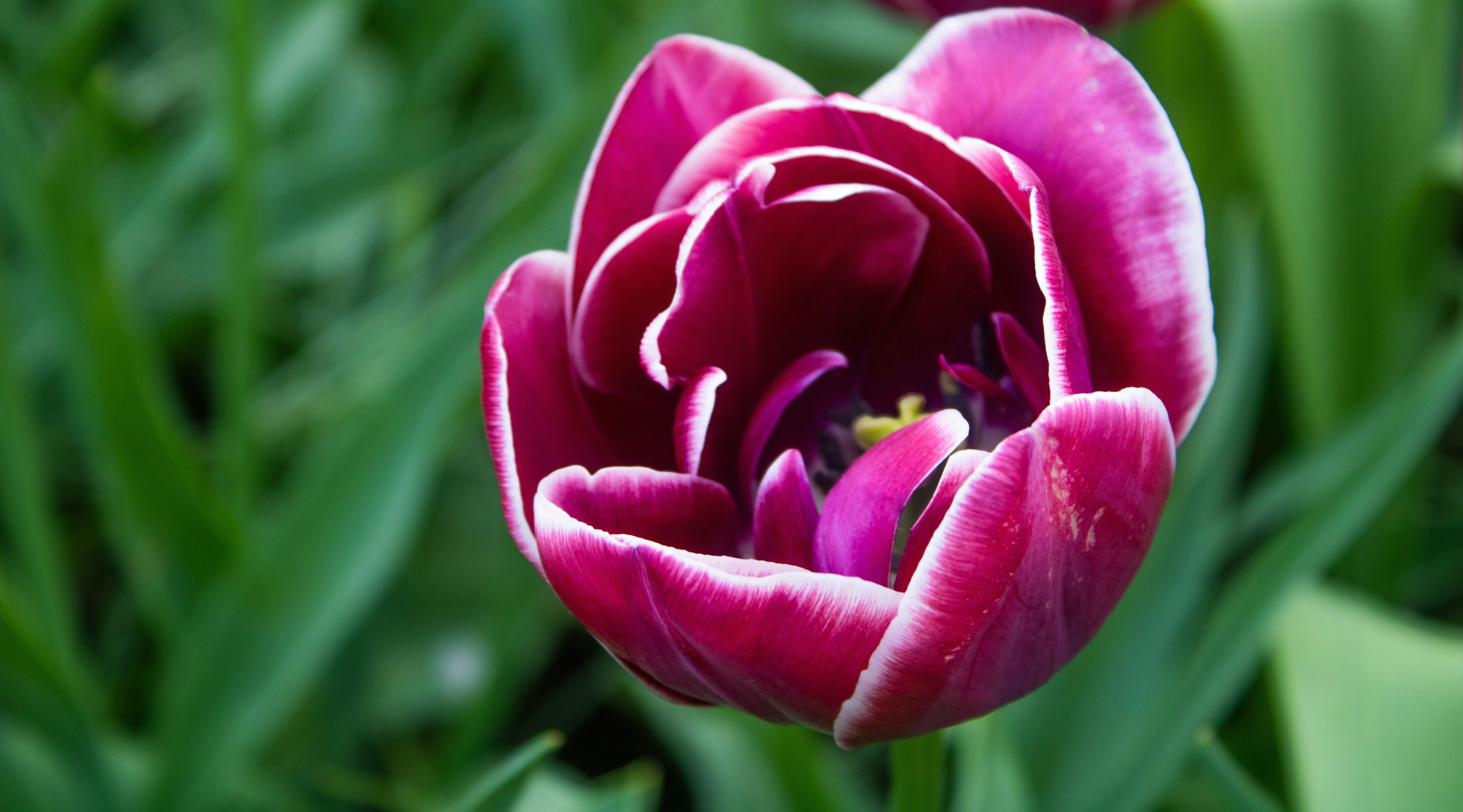 Photo by naomidekker