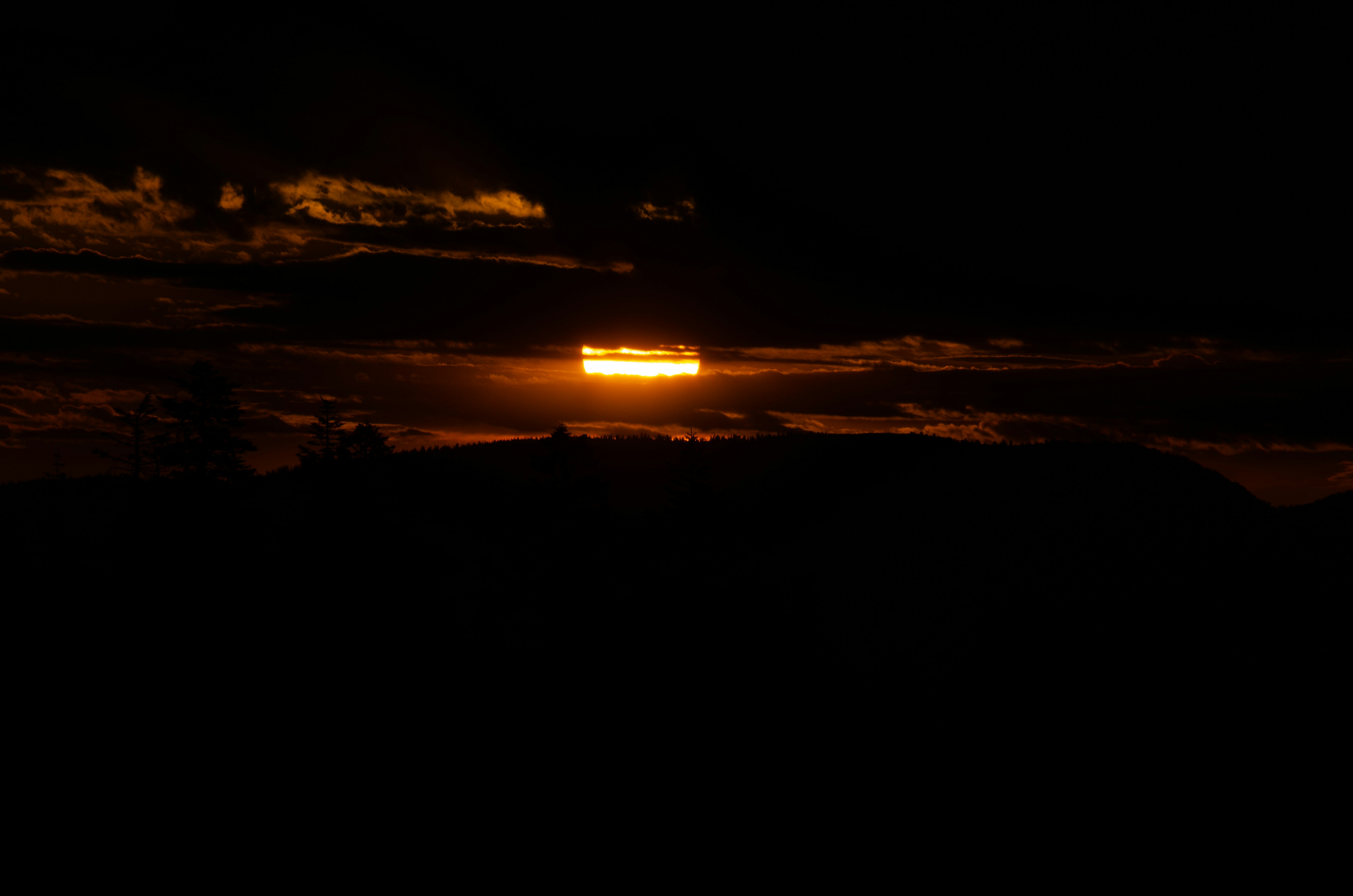 Photo by sankalpmudaliar