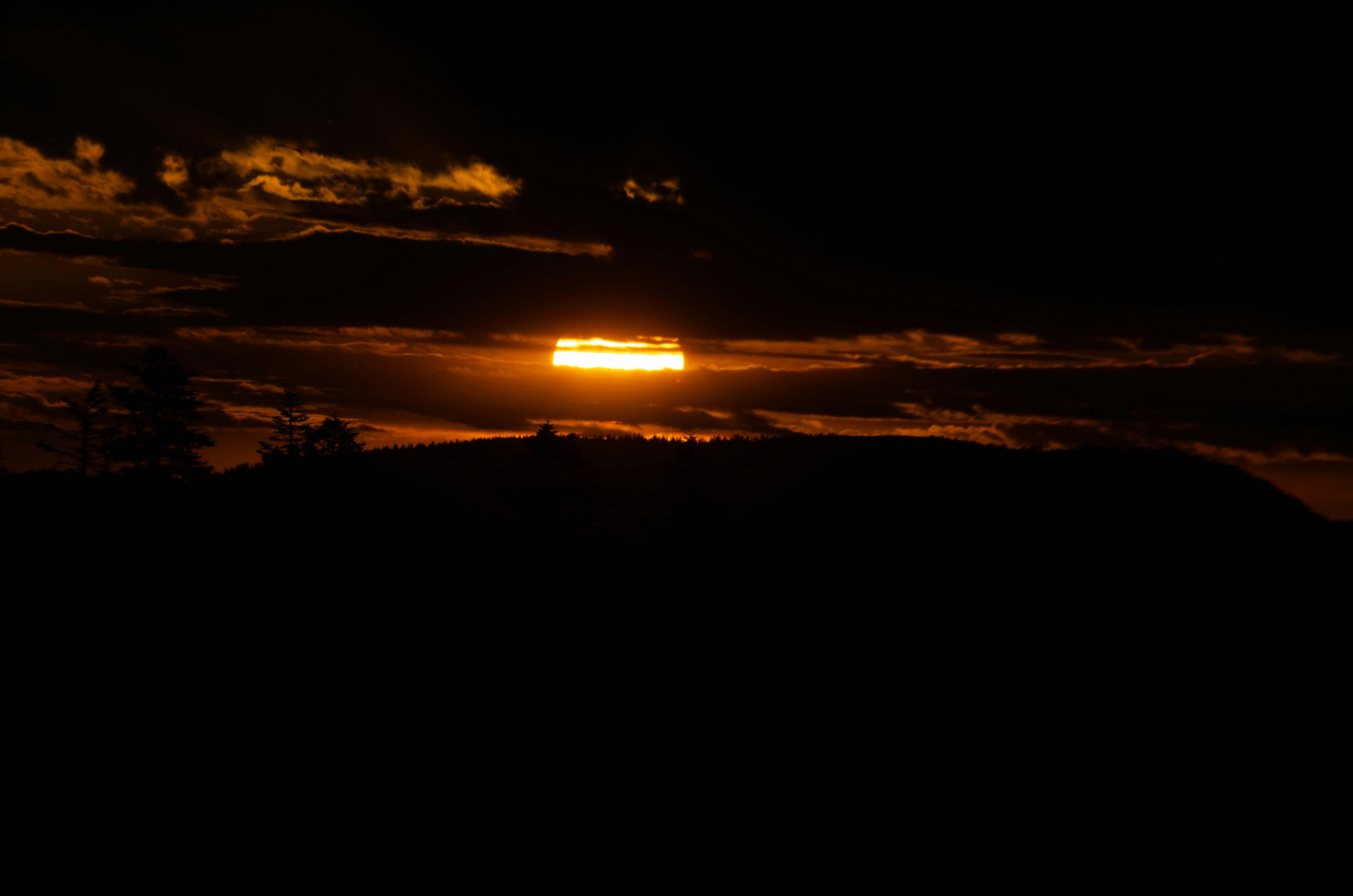 Photo by sankalpmudaliar