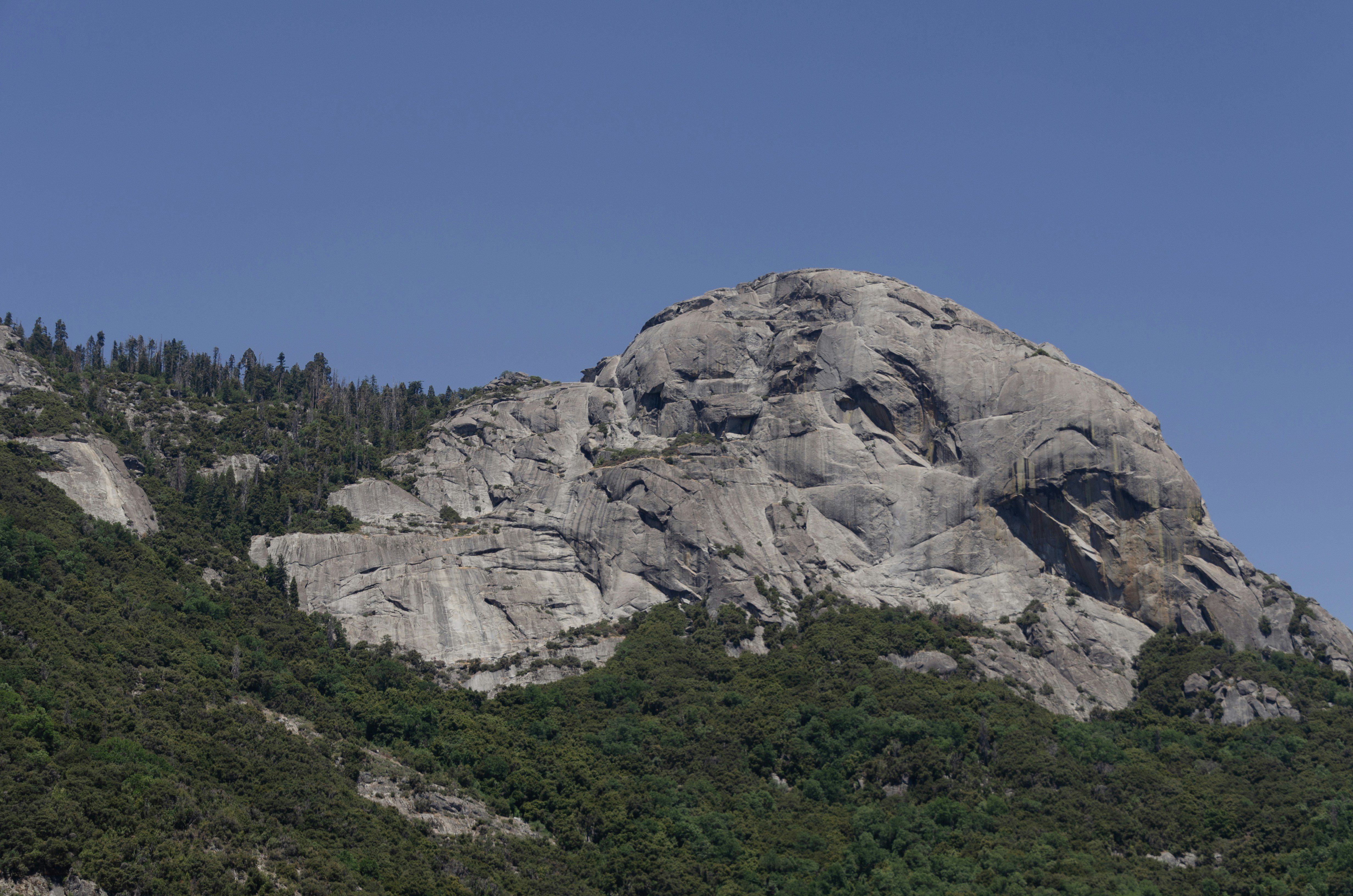 a large mountain with trees on the side of it