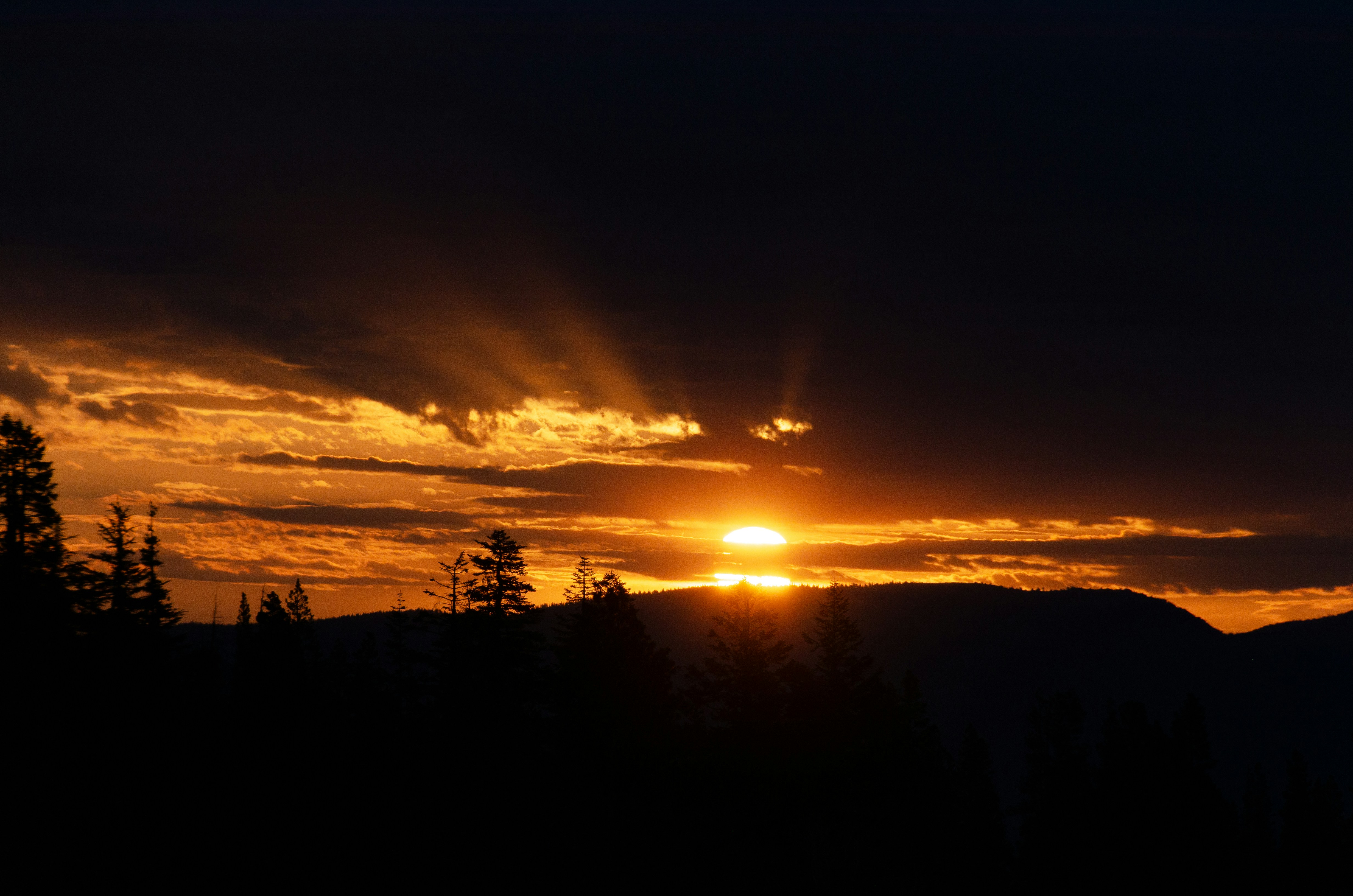 Photo by sankalpmudaliar