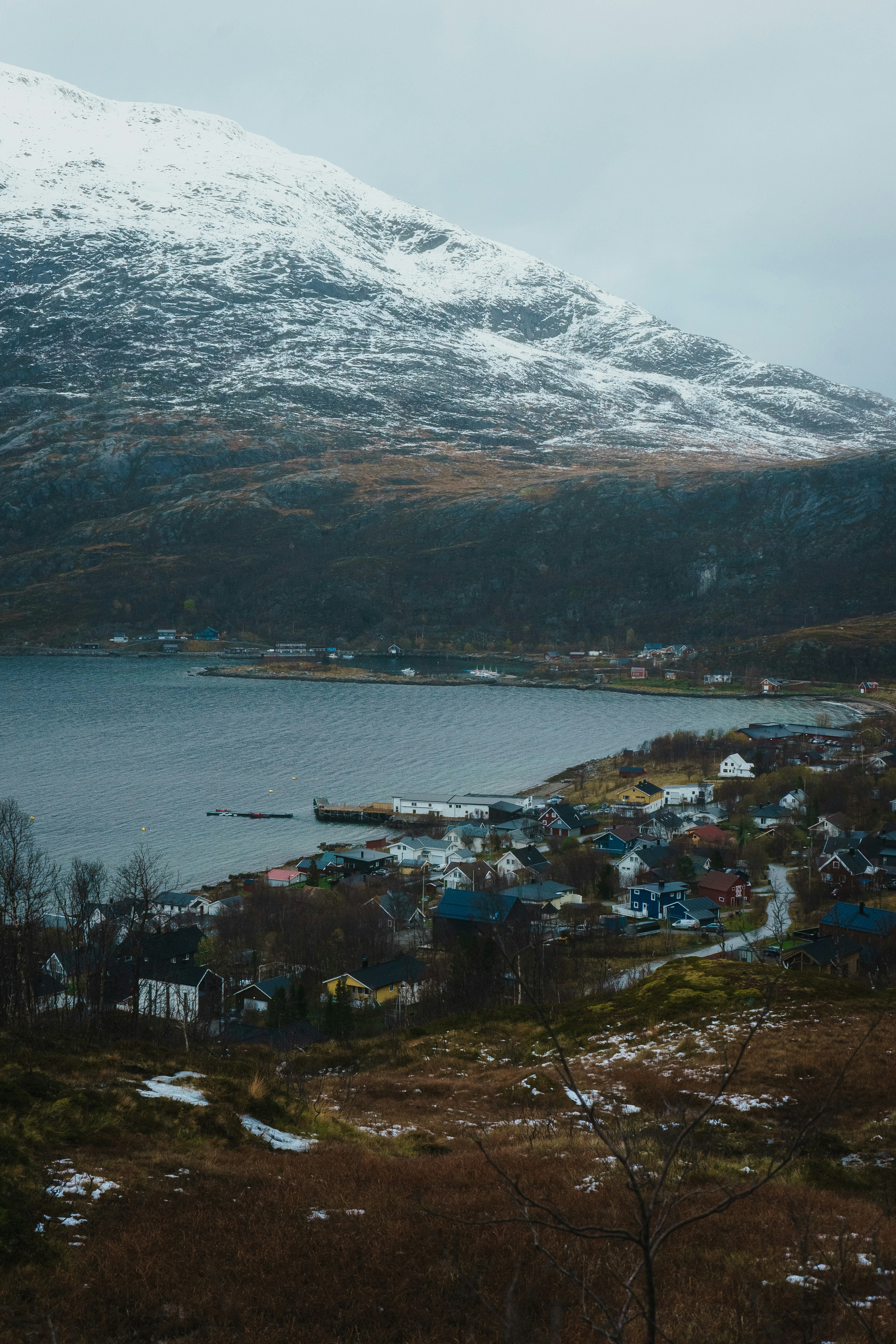 a snowy mountain is in the background with a small town in the foreground
