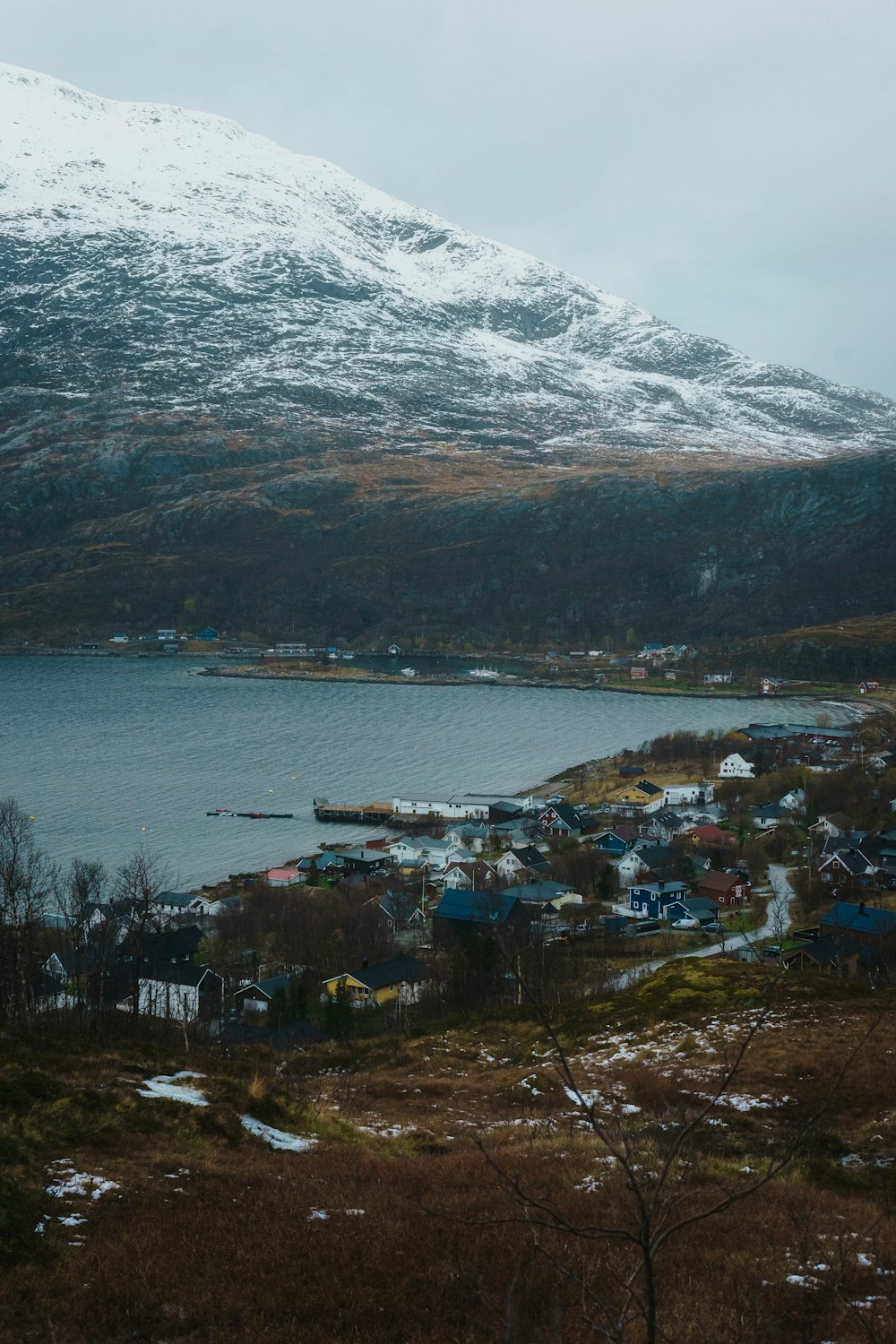 a snowy mountain is in the background with a small town in the foreground