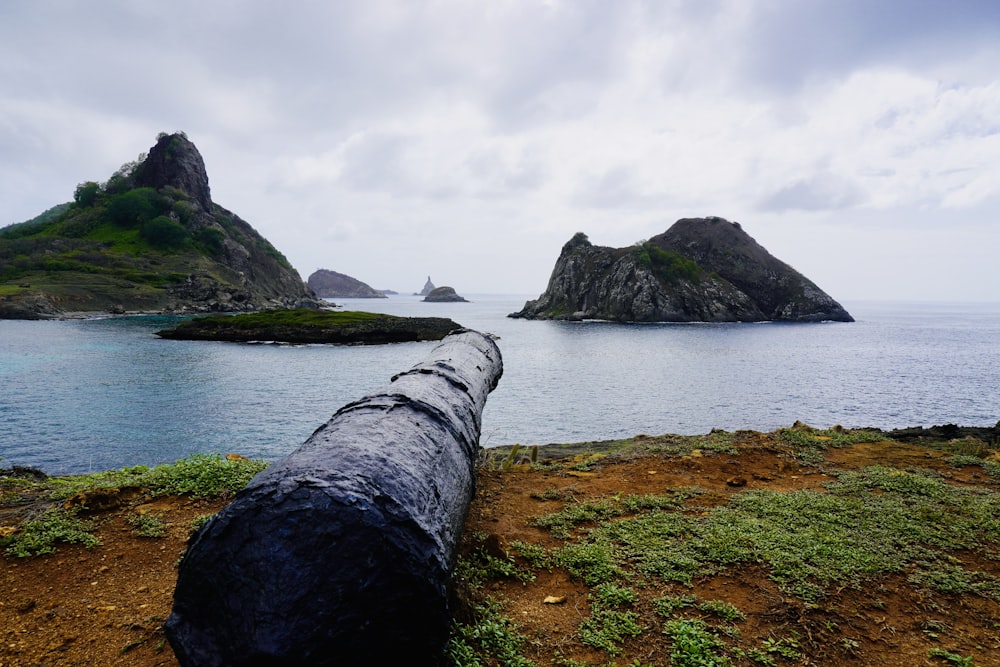 a large log sitting on top of a lush green hillside