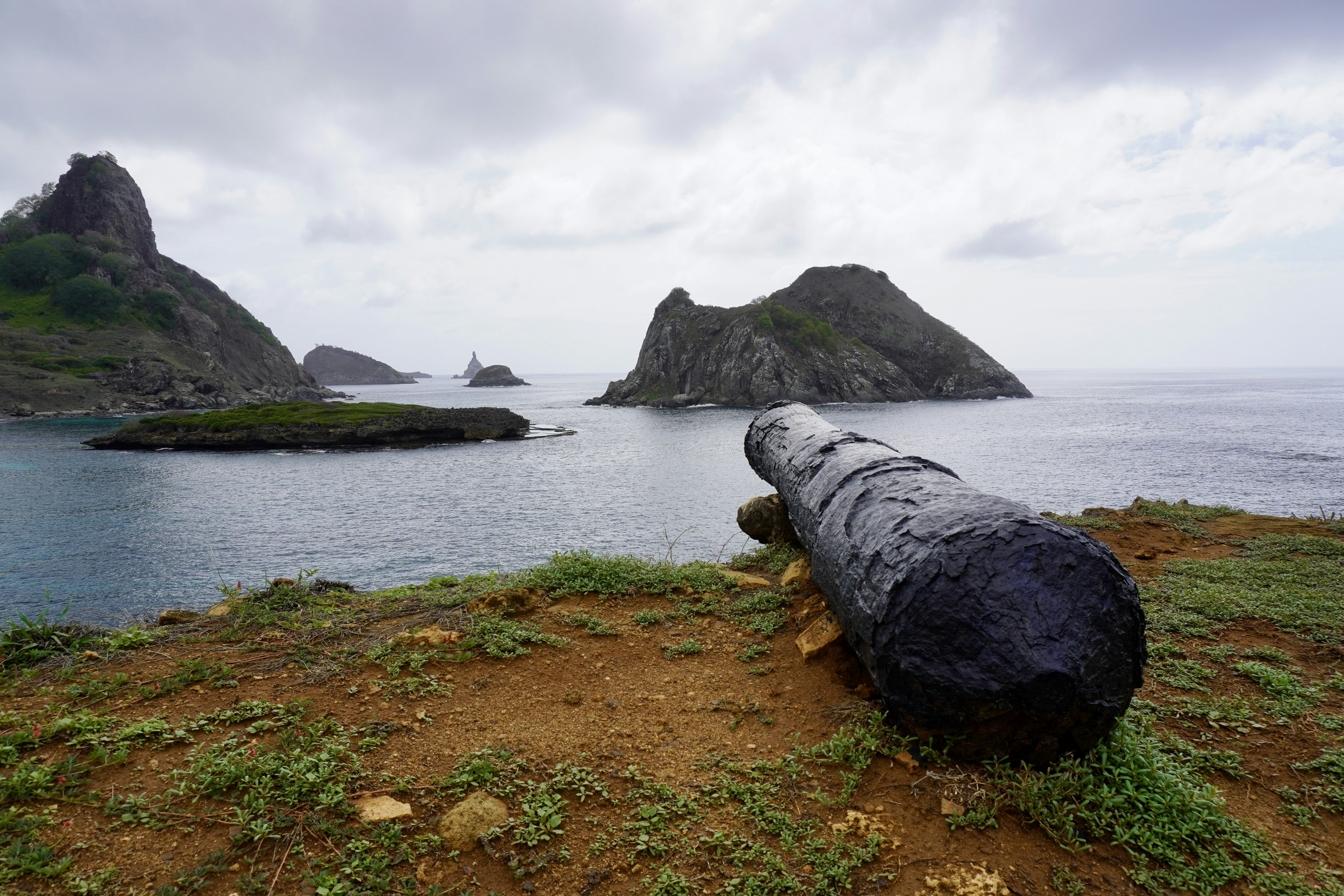 a large pipe laying on top of a lush green hillside